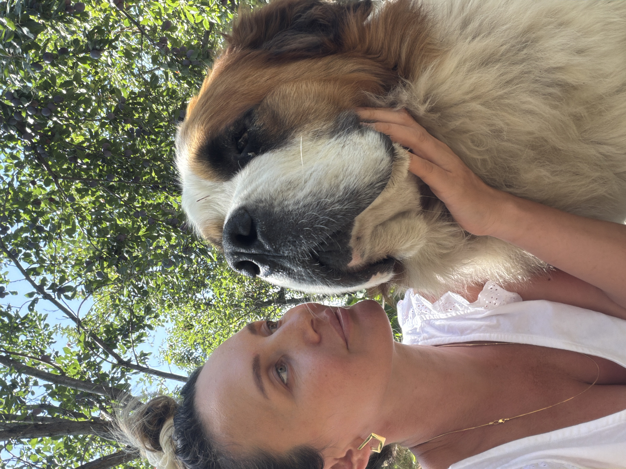 Selfie session with a Saint Bernard in Tekeli, Kazakhstan