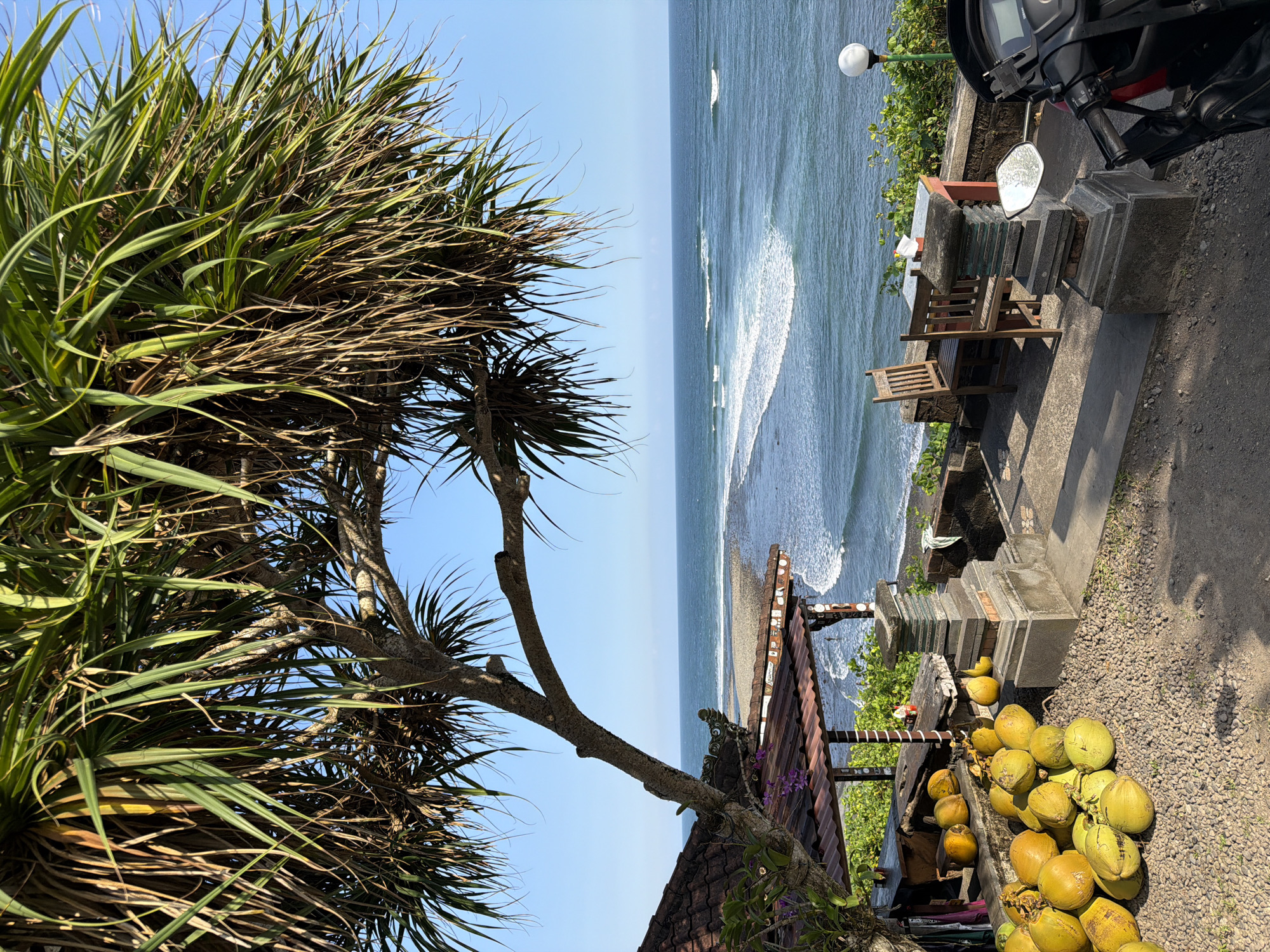 Coastal stop in Selemadeg Barat, coconuts and ocean views