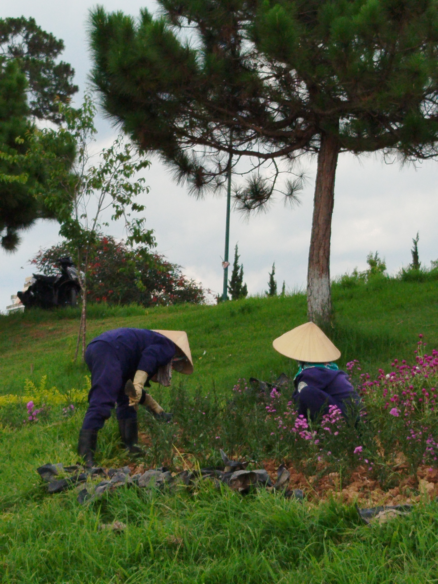 Morning life captured across Da Lat's parks and streets
