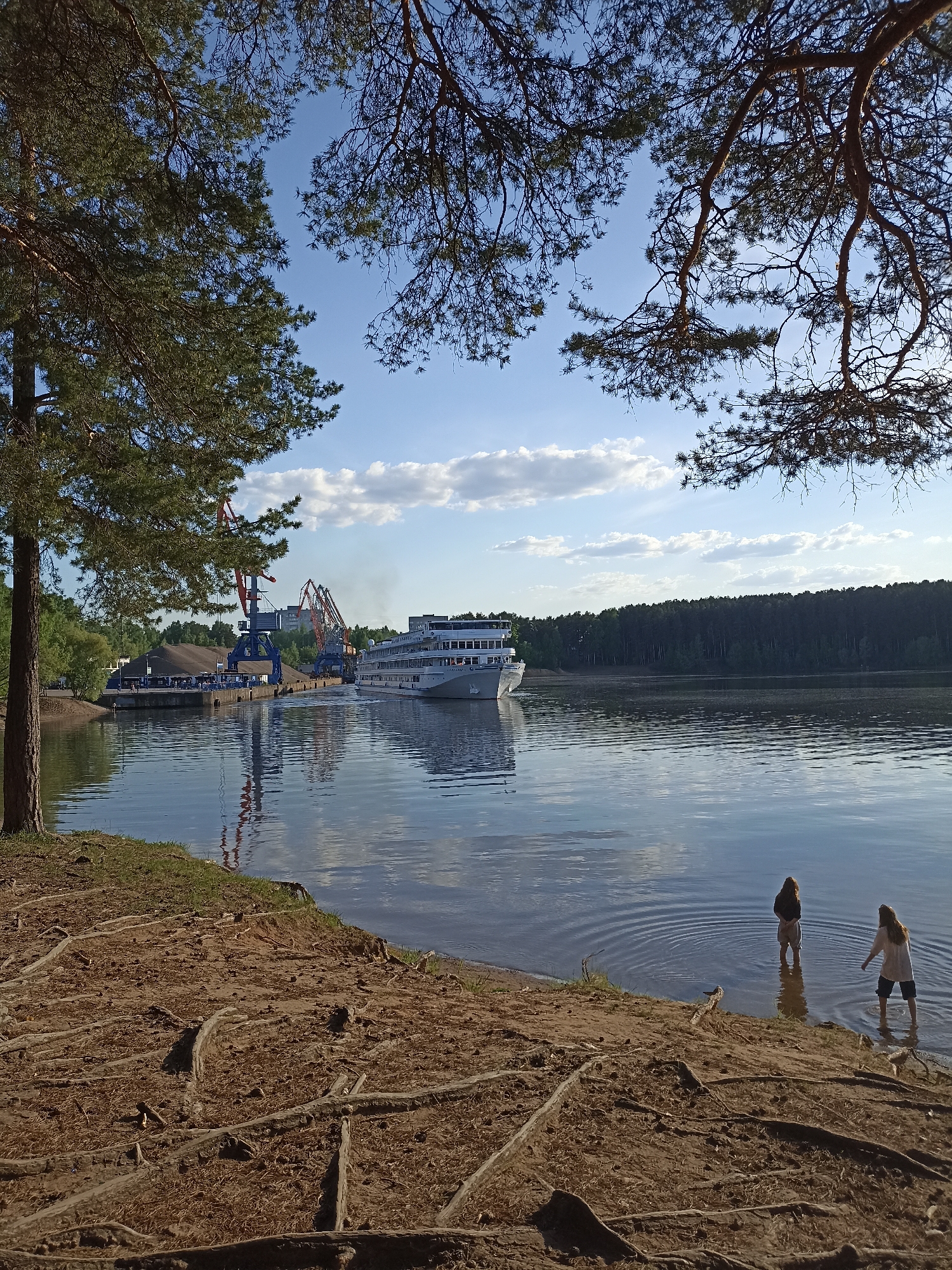 Witnesses capture peaceful waterfront park scene with passenger ship