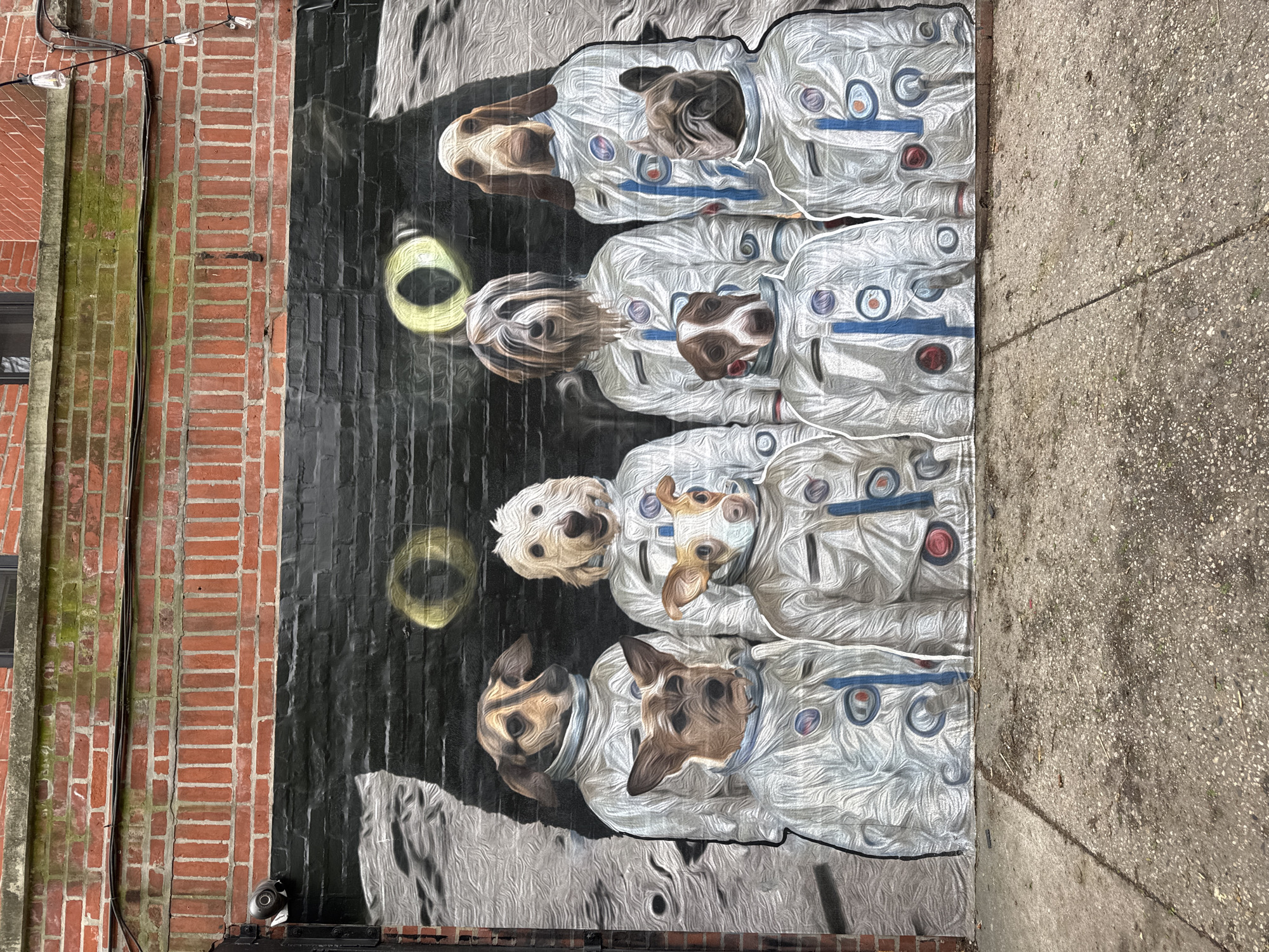 NYC street scenes: astronaut dog mural, multilingual grocery store