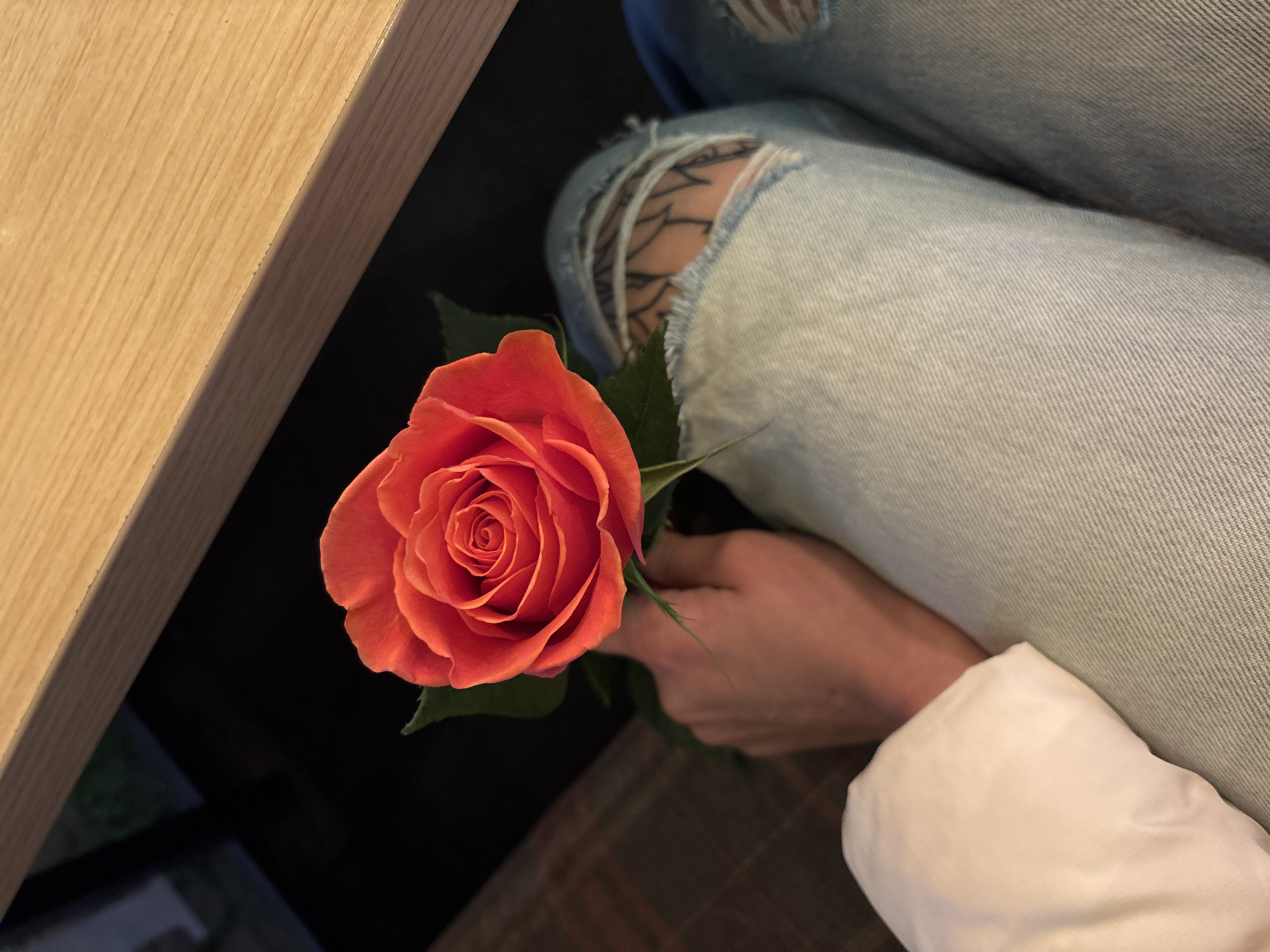 Sofia resident captures quiet domestic moments with rose, cat, computer