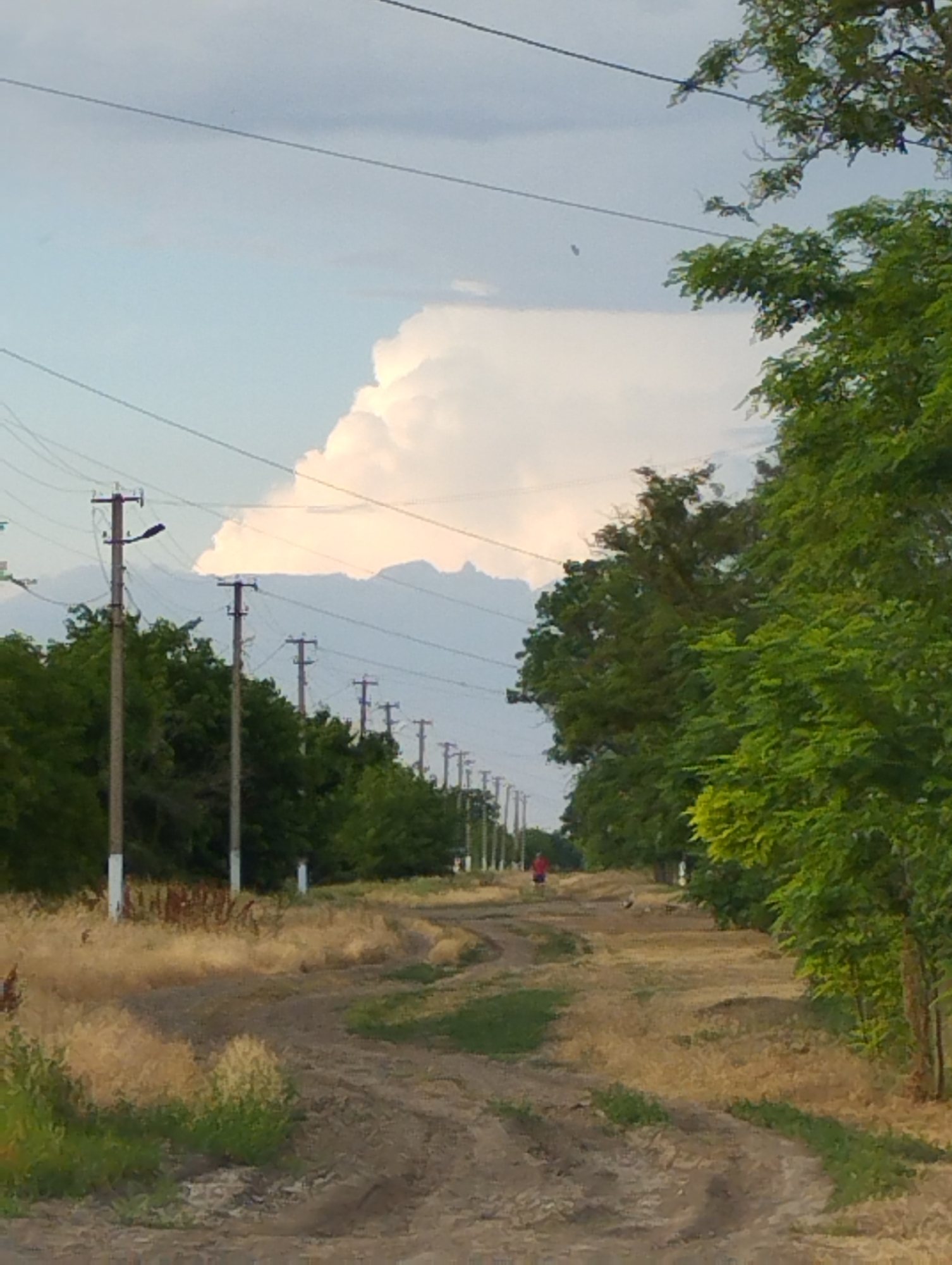 Summer evening in rural Vasylivka — skies, plants, and countryside