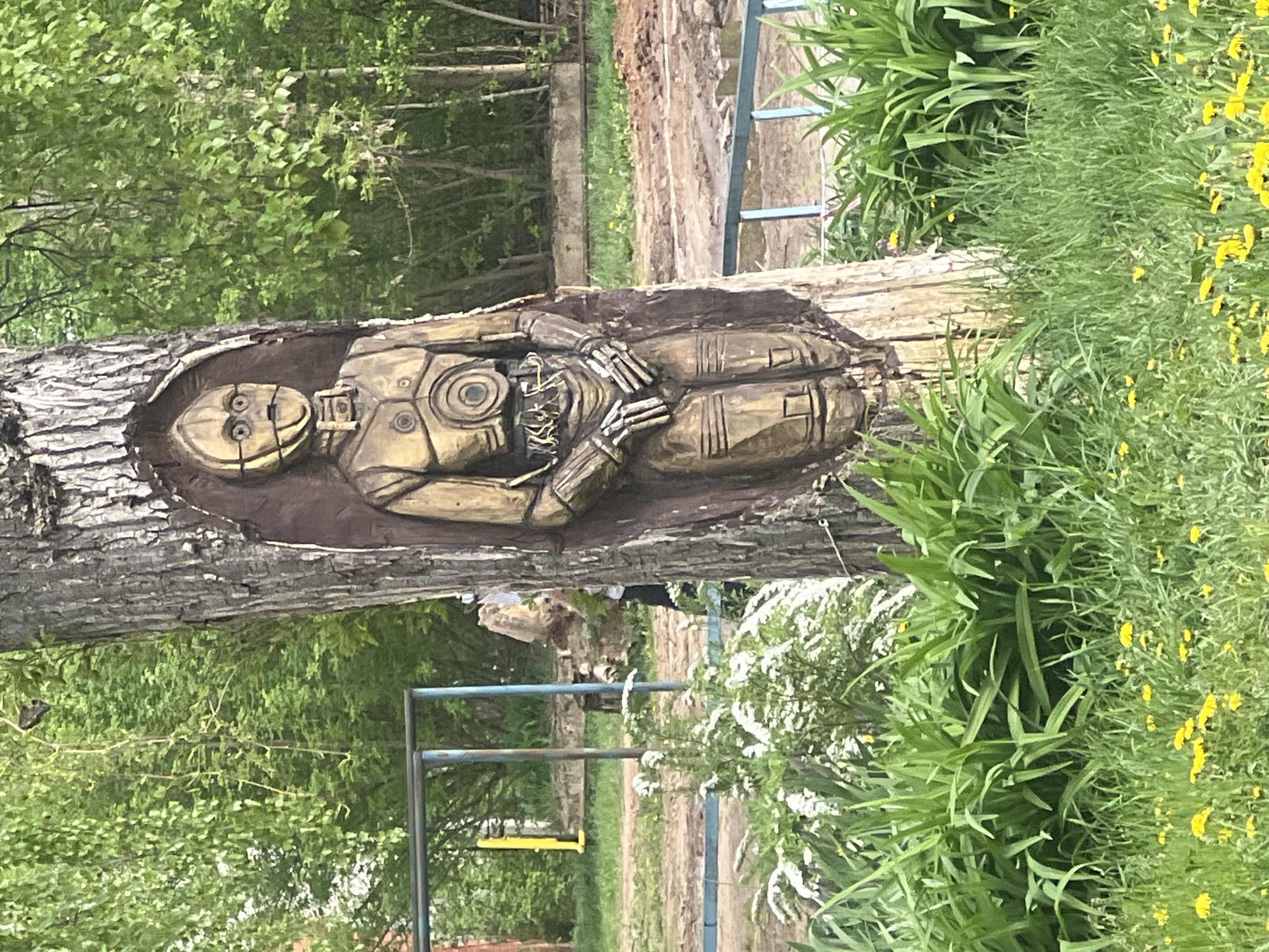 Robot tree carving and tabby cat photographed in Chaikovsky