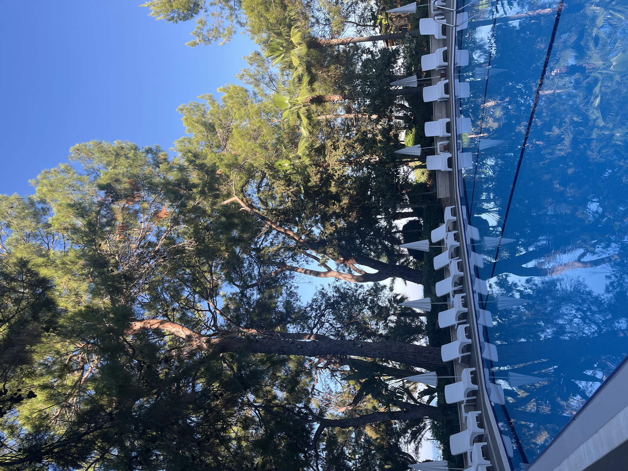 Summer hotel stay in Alanya, poolside and sea views