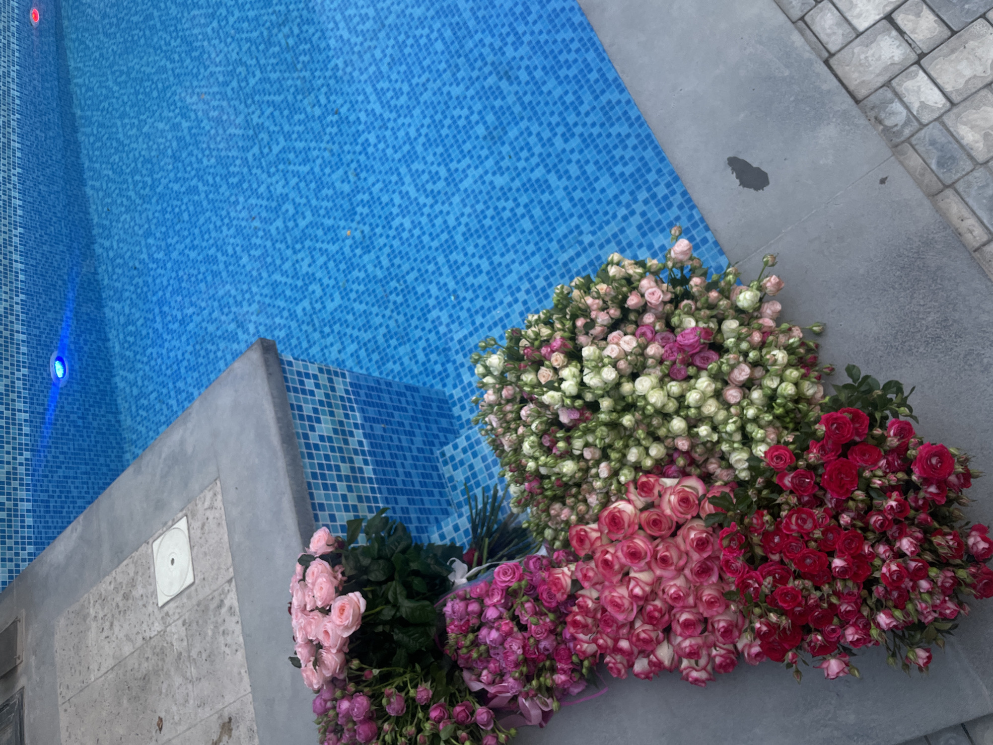 Marriage proposal staged with flowers and neon sign in Armenia