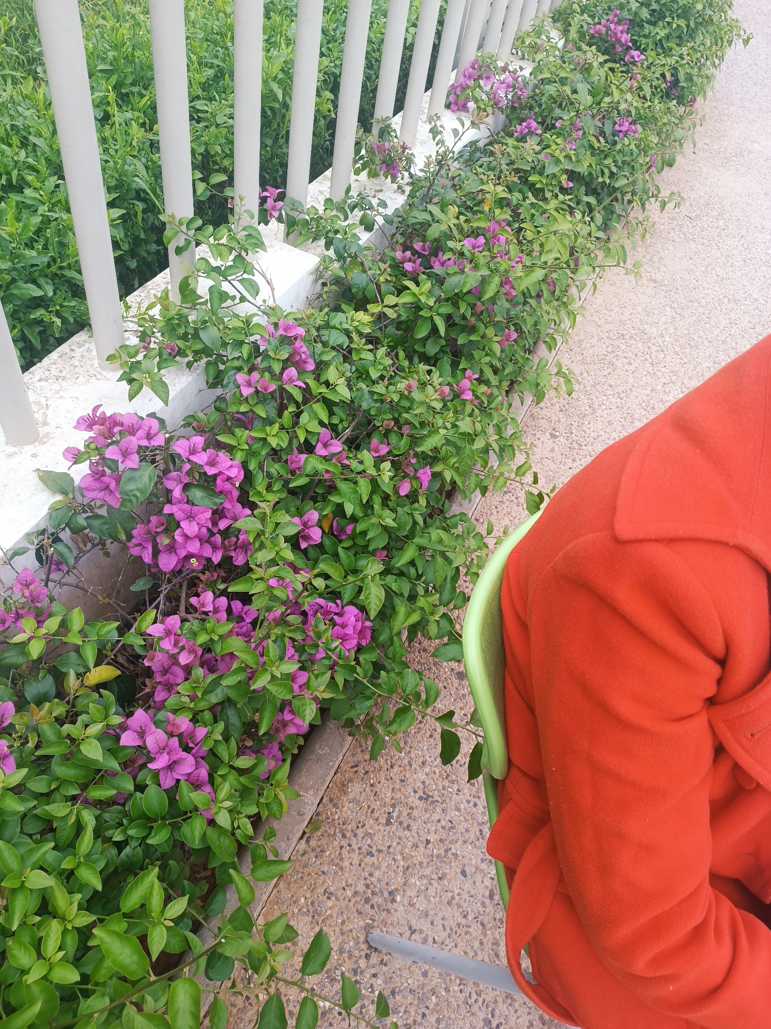 Walking tour documented through central Rabat streets and landmarks