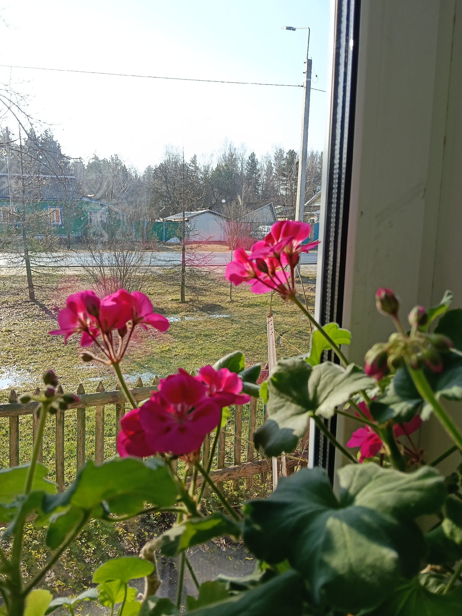 Spring morning moments captured in Красный Маяк, Russia