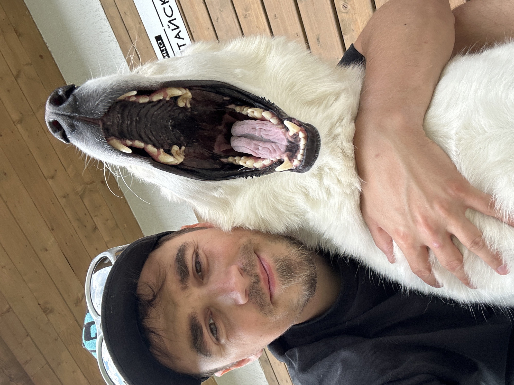 Man takes selfie with large white dog on Russian street