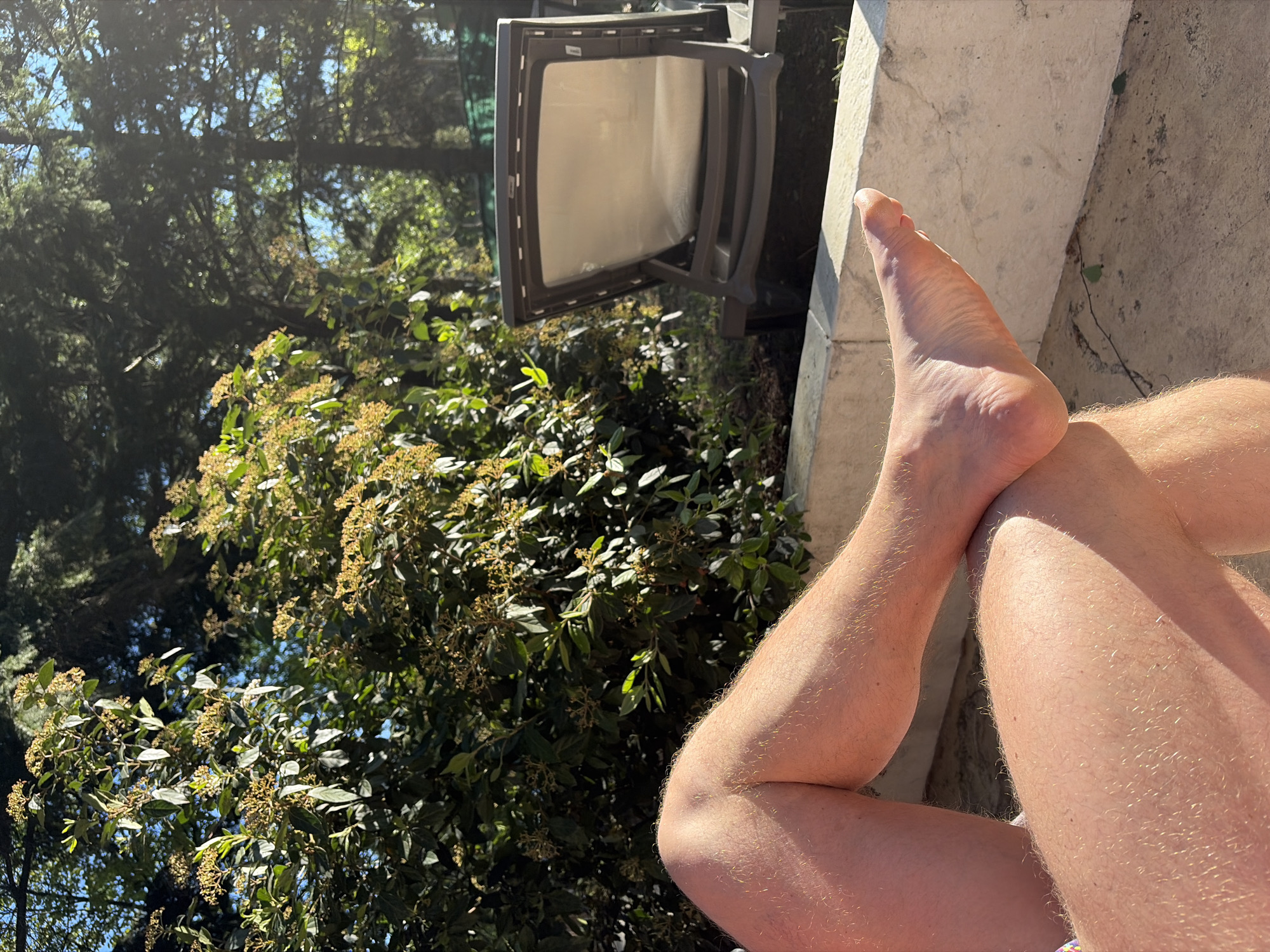 Afternoon leisure time documented in Belgrade suburb garden setting