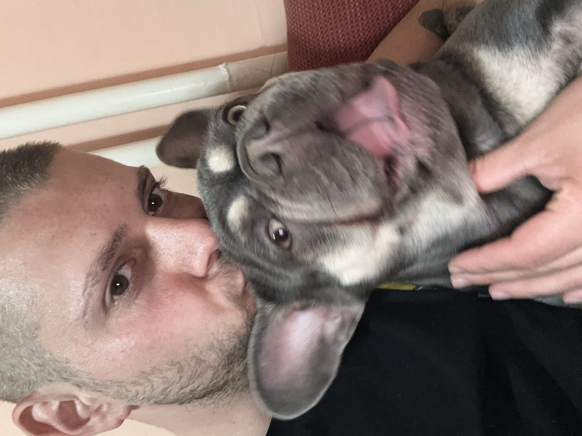 Man shares tender moment with French Bulldog companion