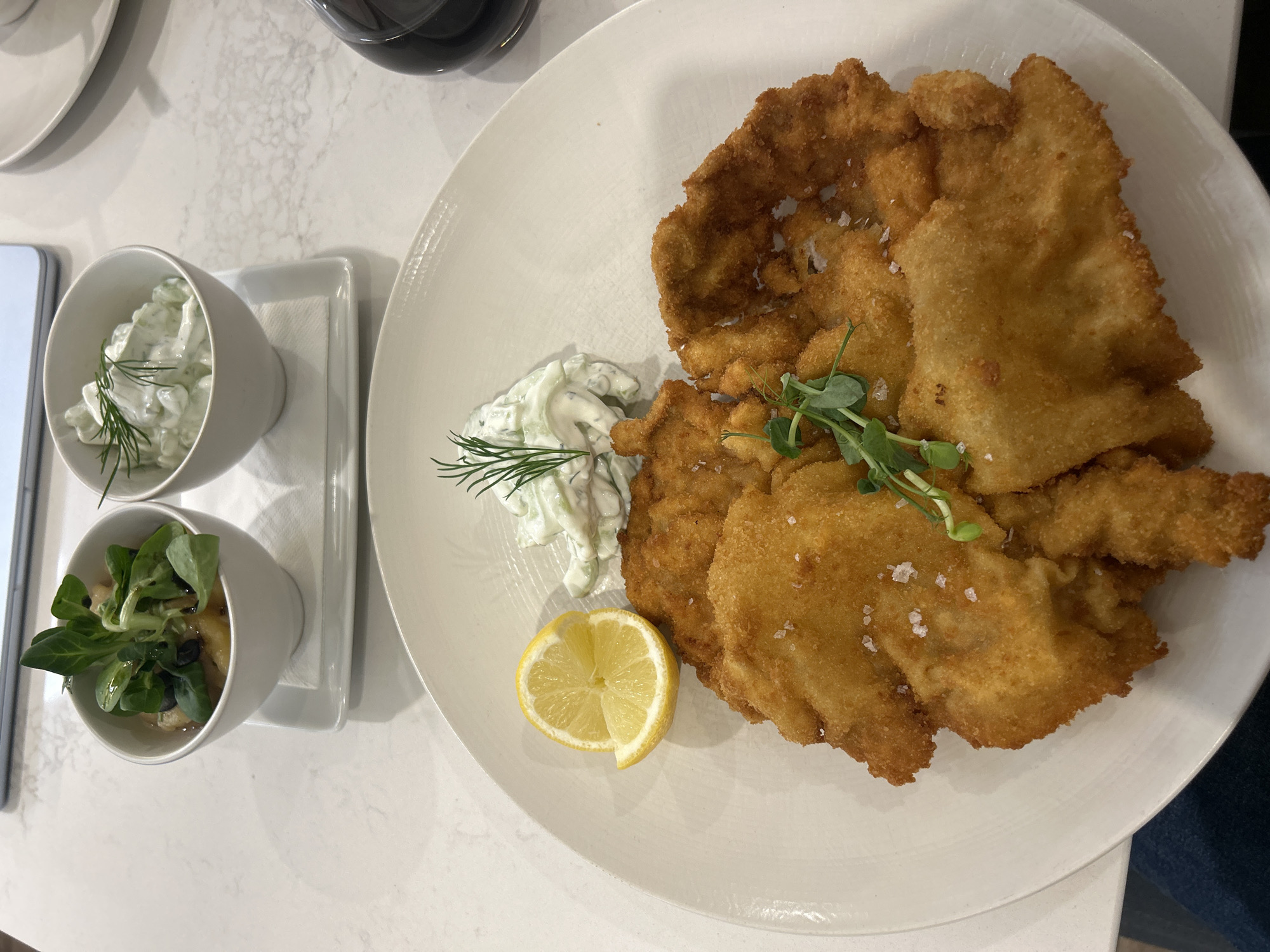 Restaurant meal documentation in Schwechat, Austria