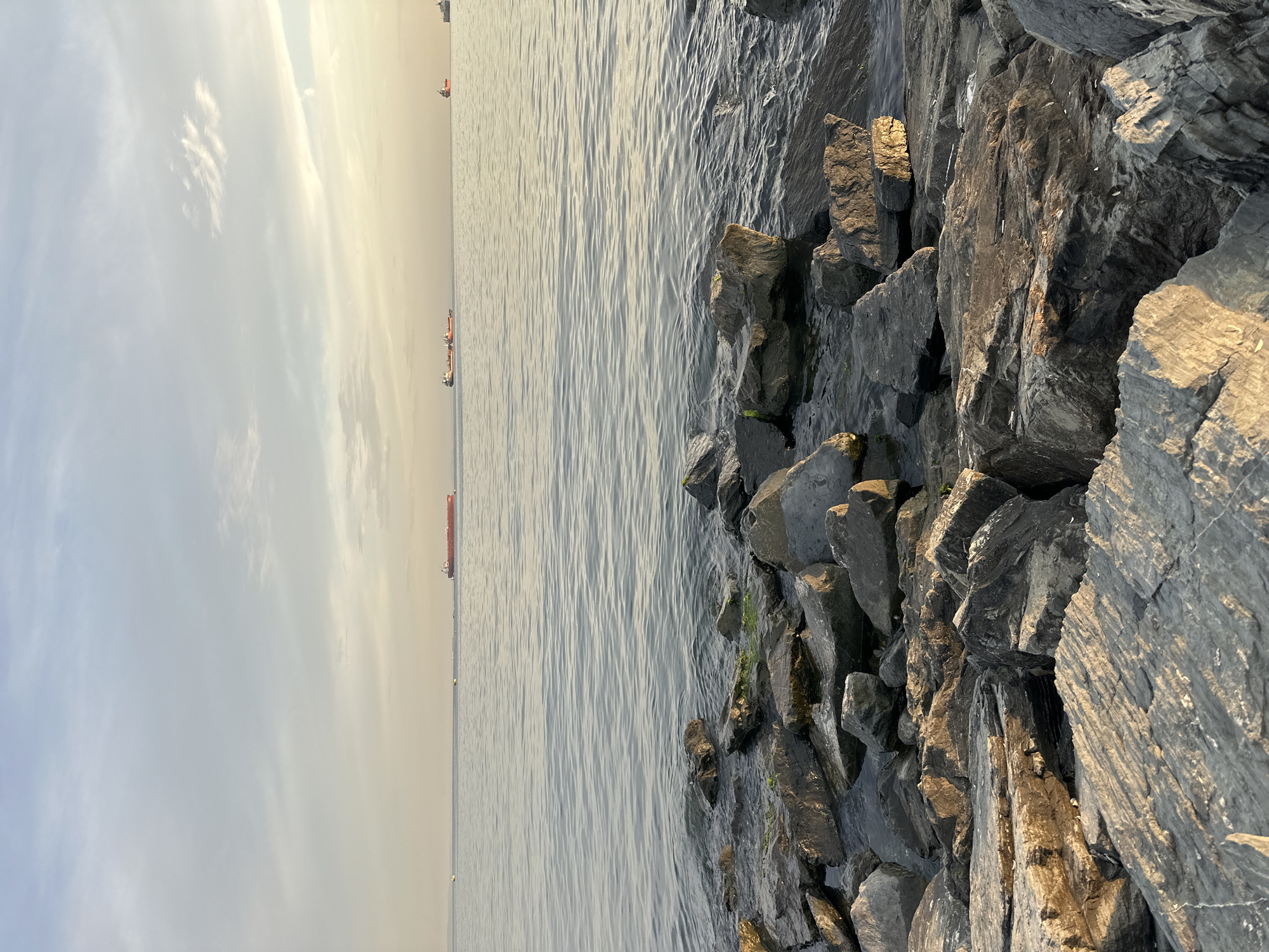 Coffee and cargo ships on the Bakırköy waterfront