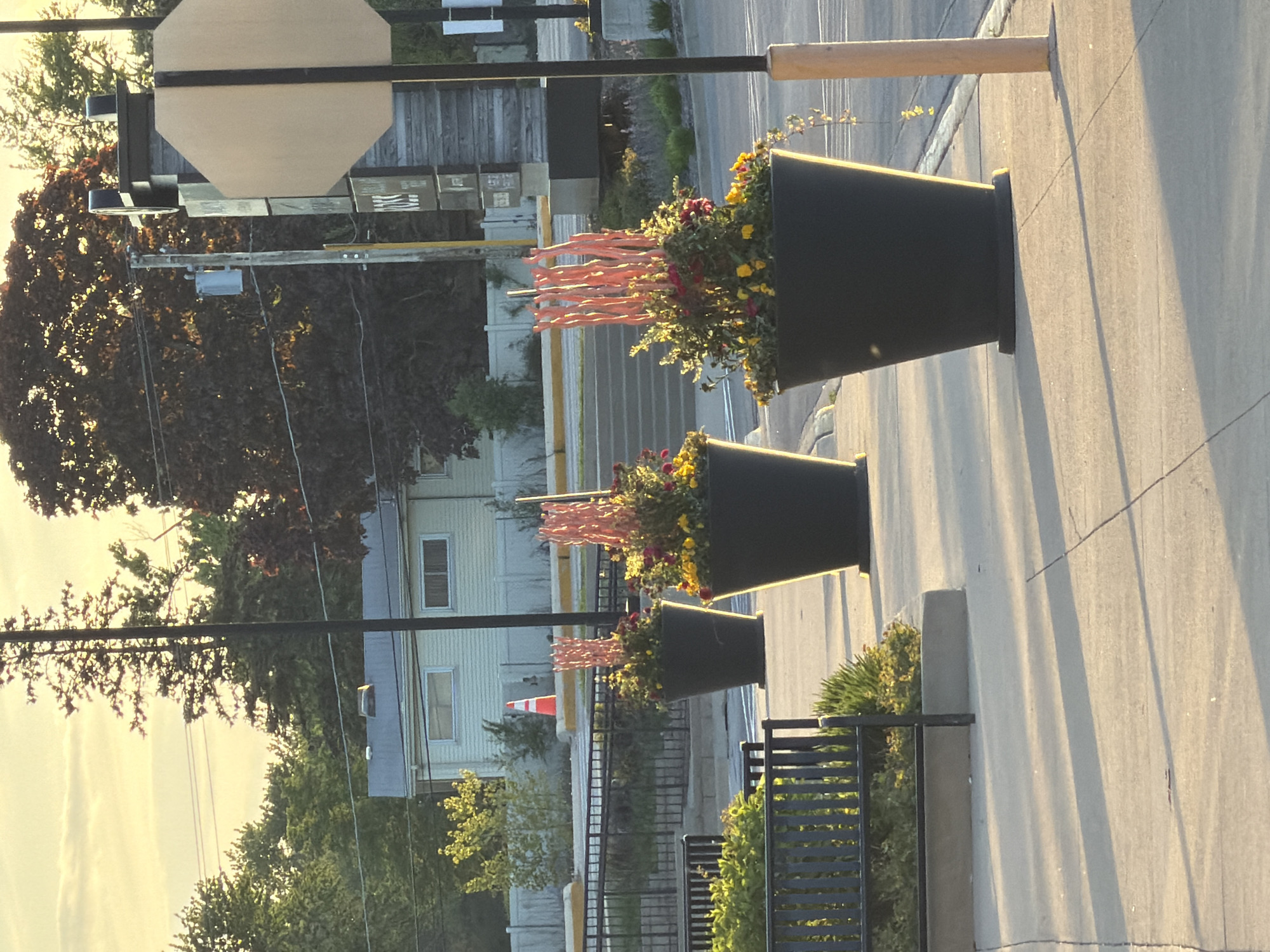 Late-night documentation of Morton Grove street decorations and pavement