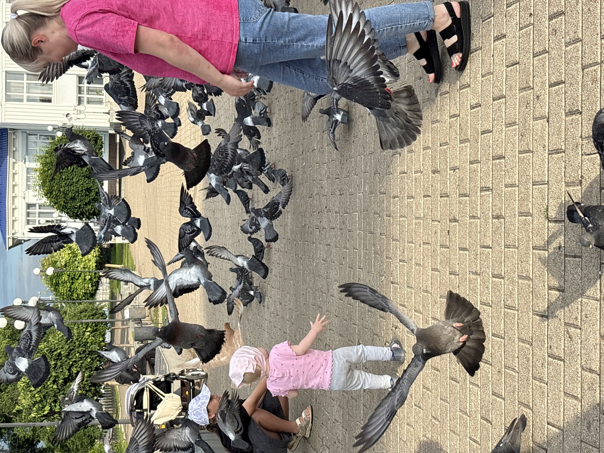 Pigeon feeding and daily life moments in Chaikovsky, Russia