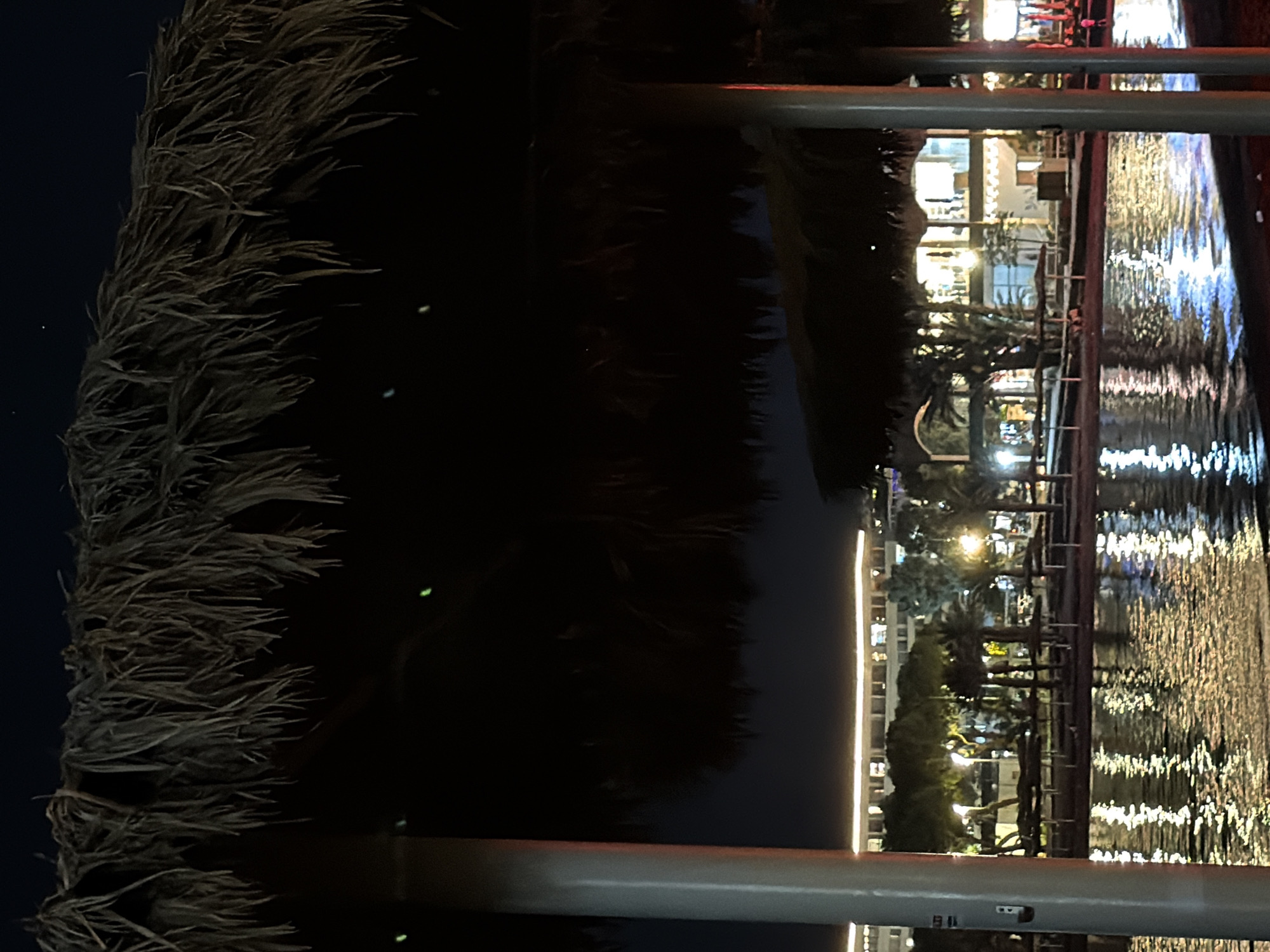 Evening scenes captured across Eilat's illuminated waterfront and arcade