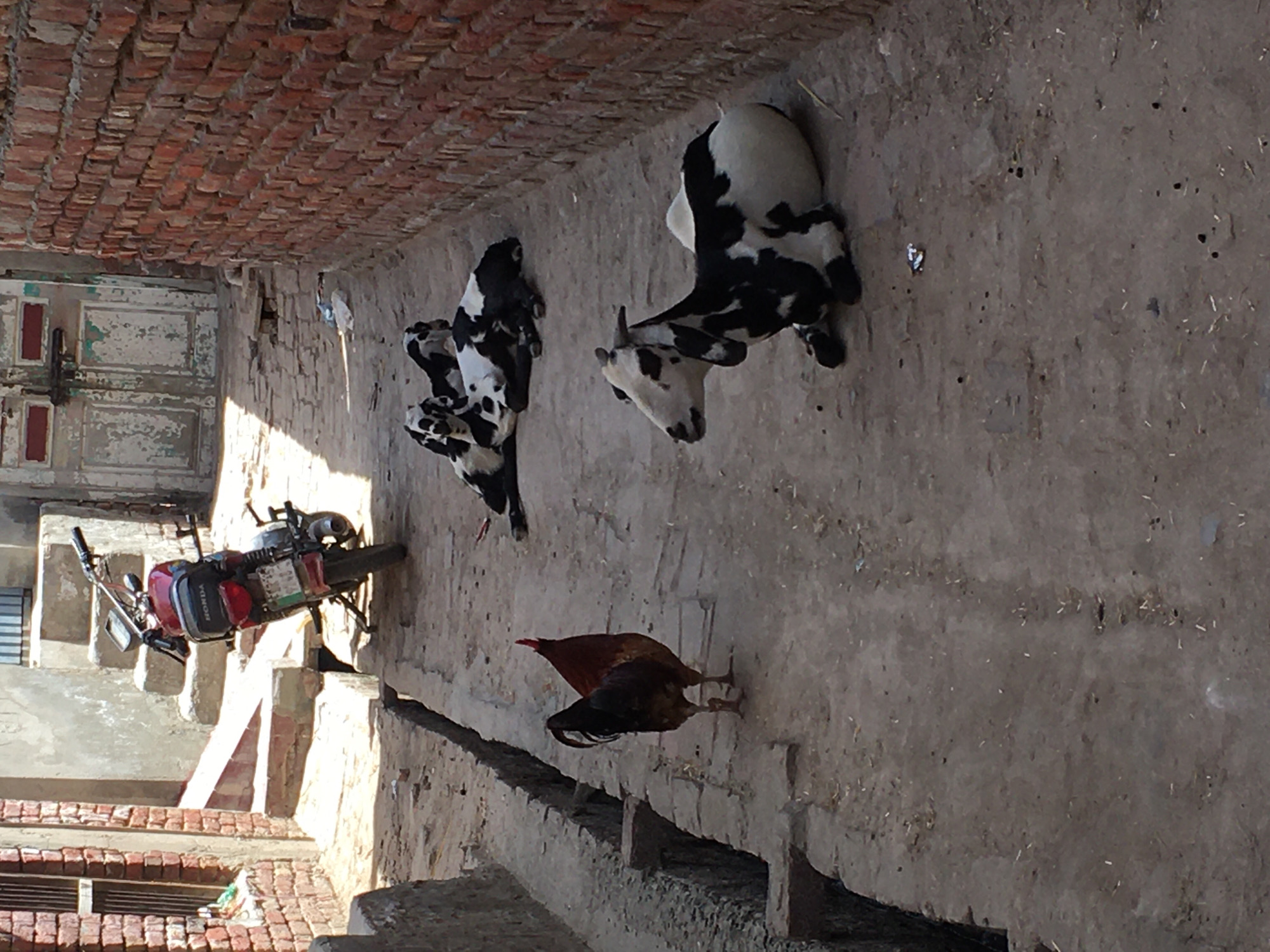 Morning life documented in Karamsar, Pakistan tailoring district