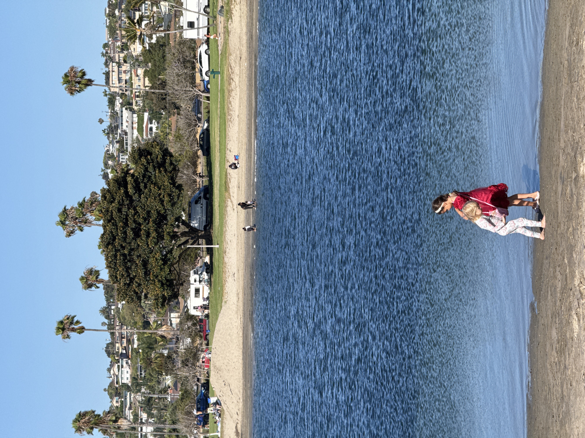 Sun, palms, and a hydrofoil on the San Diego waterfront