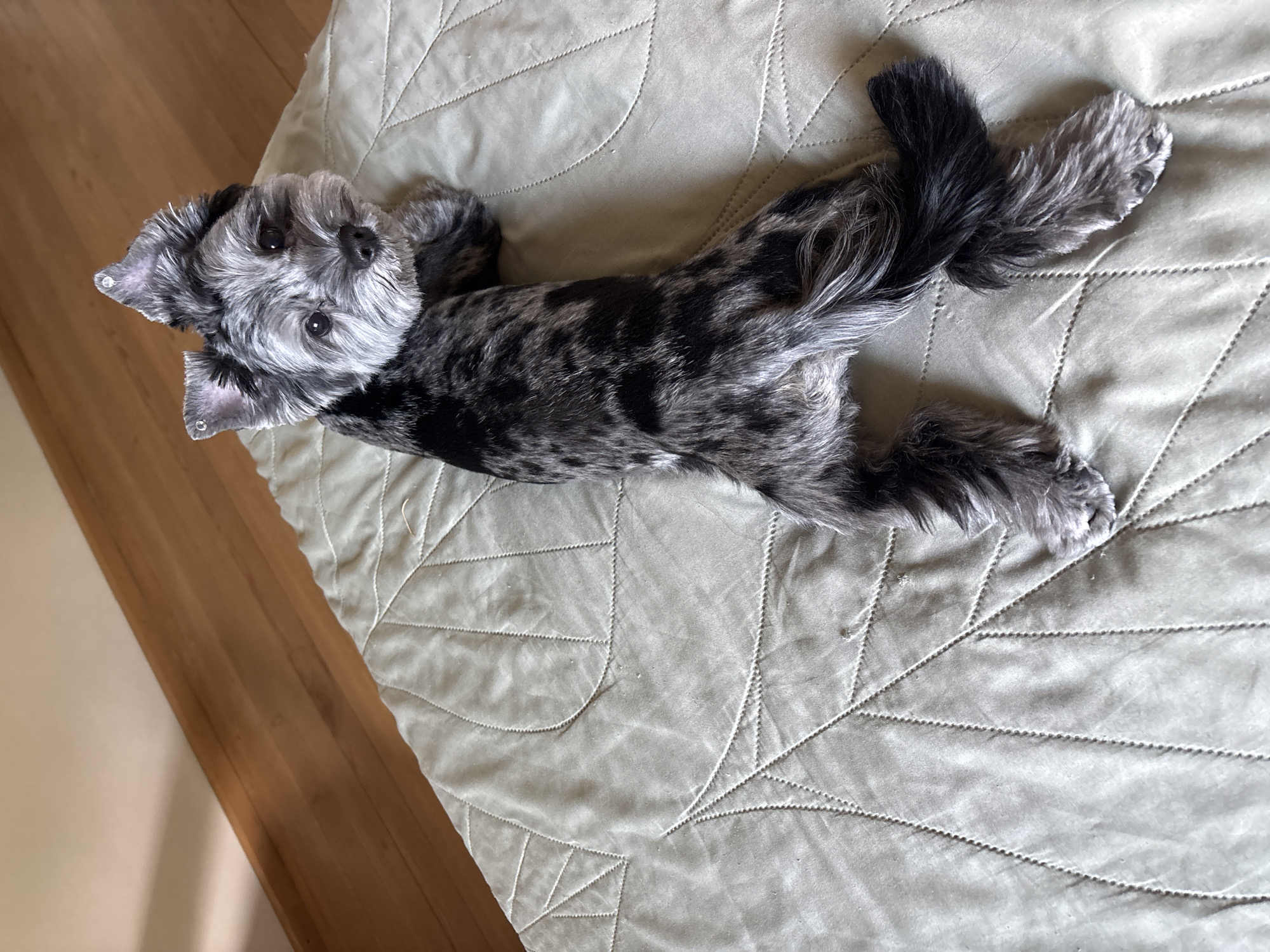 Daily life moments captured in Chaikovsky: selfies, soccer, pets