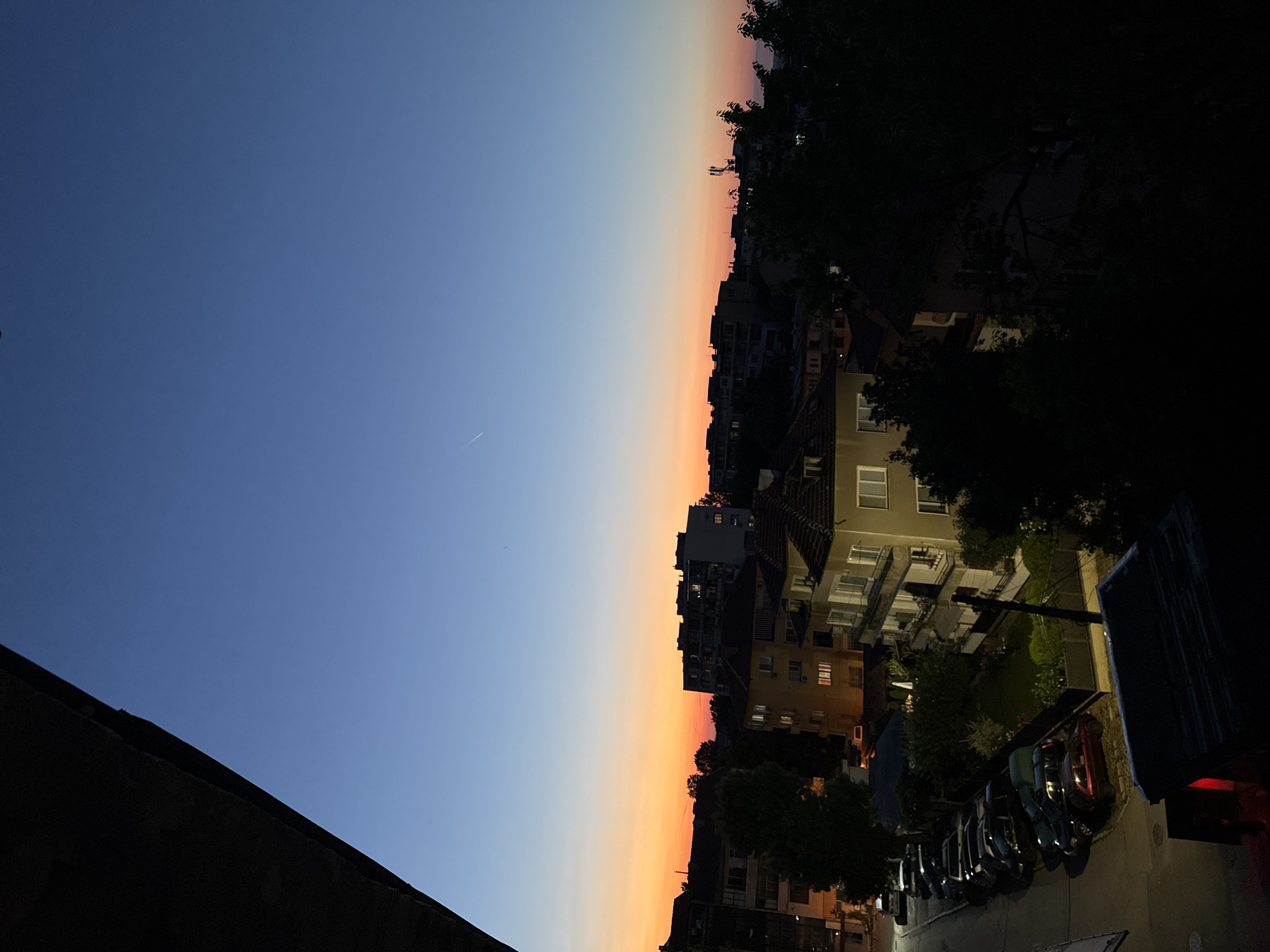Quiet Evening With Cat Documented in Vratsa, Bulgaria