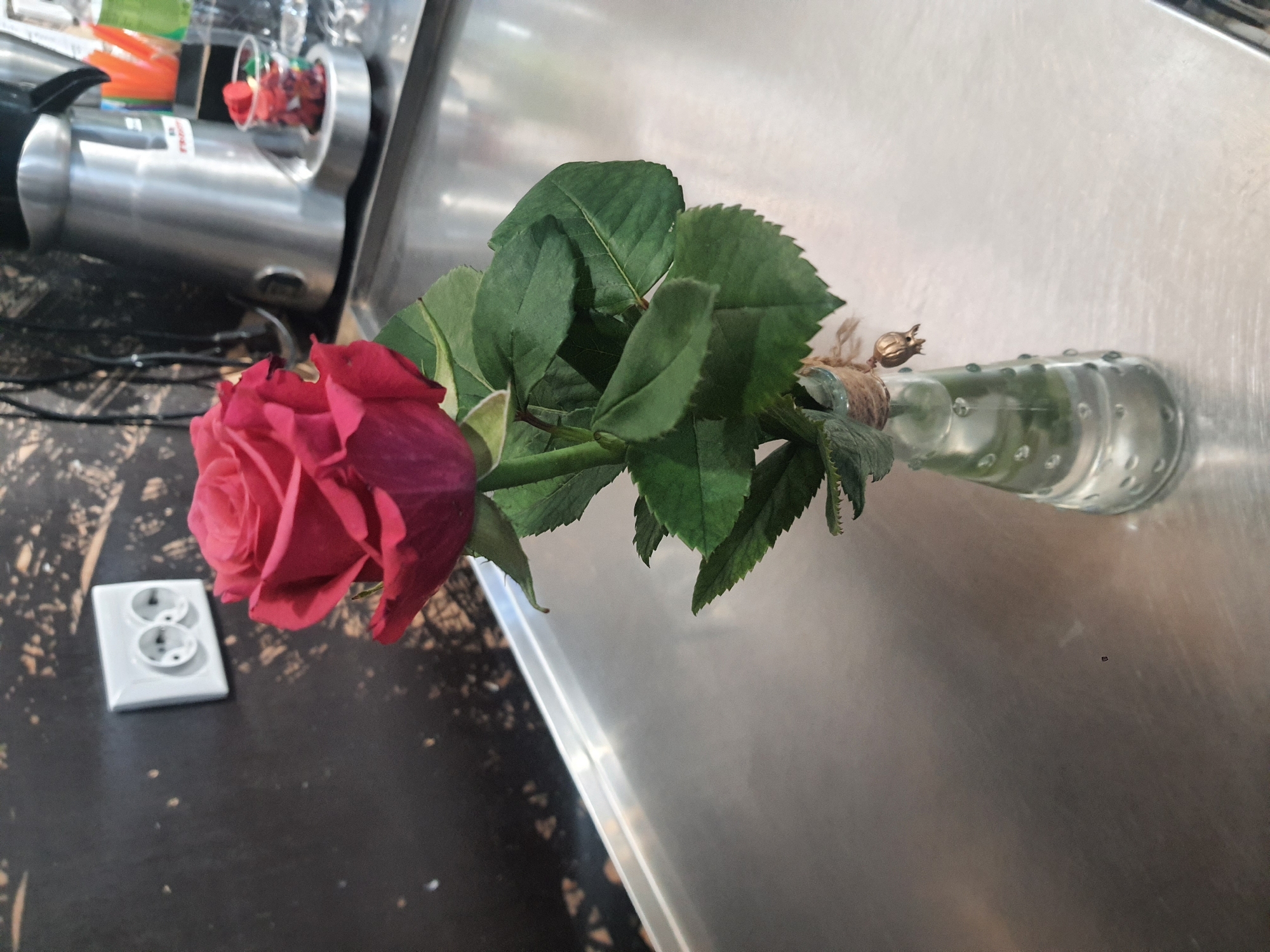 Flowers, sunsets, and still-life moments from a quiet afternoon