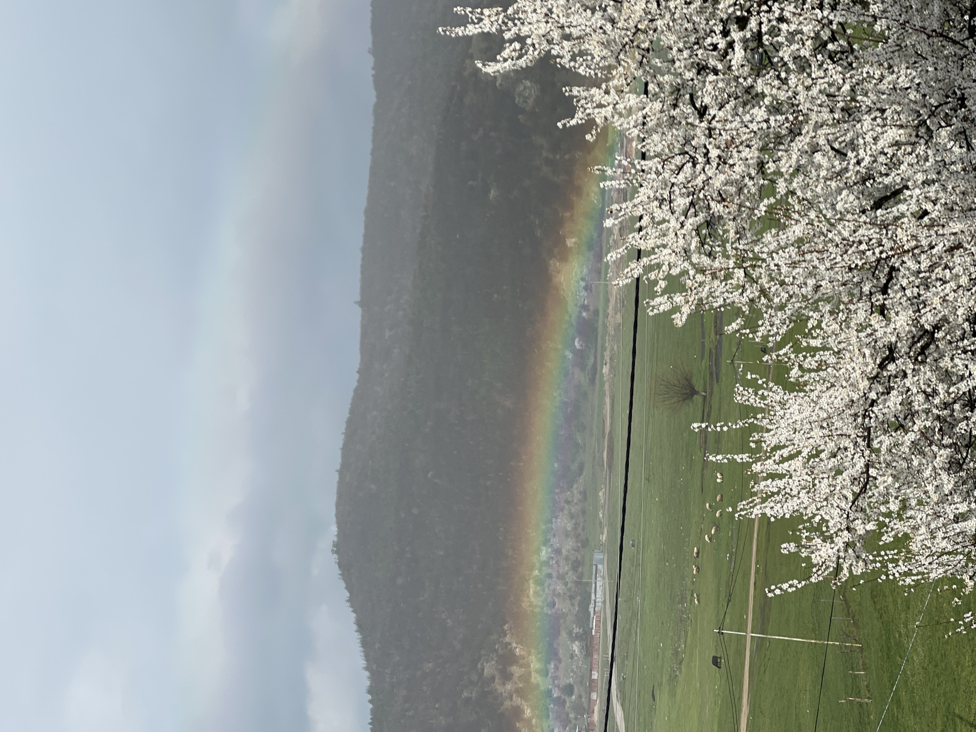 Rainbow appears over pastoral fields near Velingrad, Bulgaria