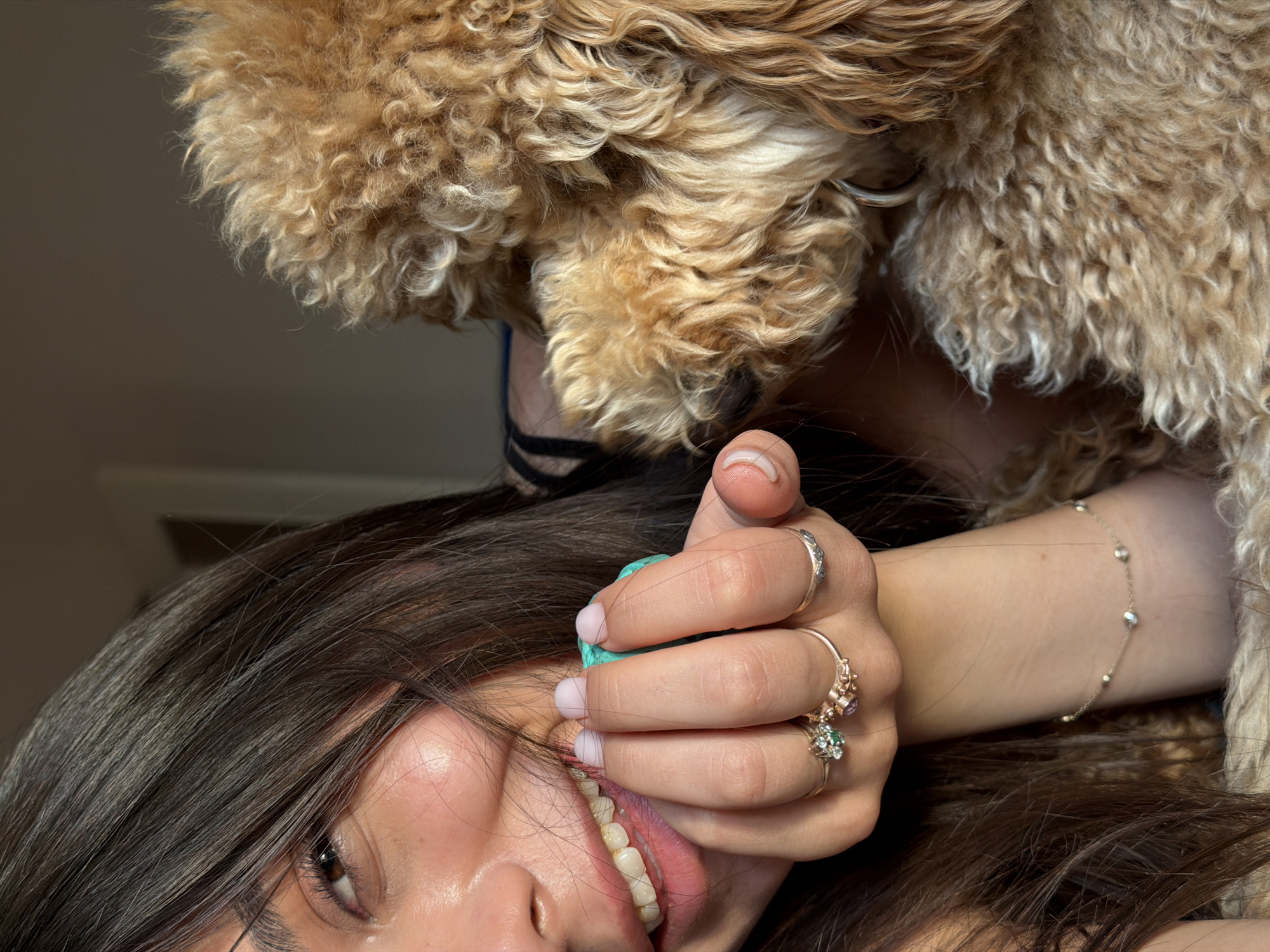 Lazy afternoon with a photogenic poodle-mix in Aratashen
