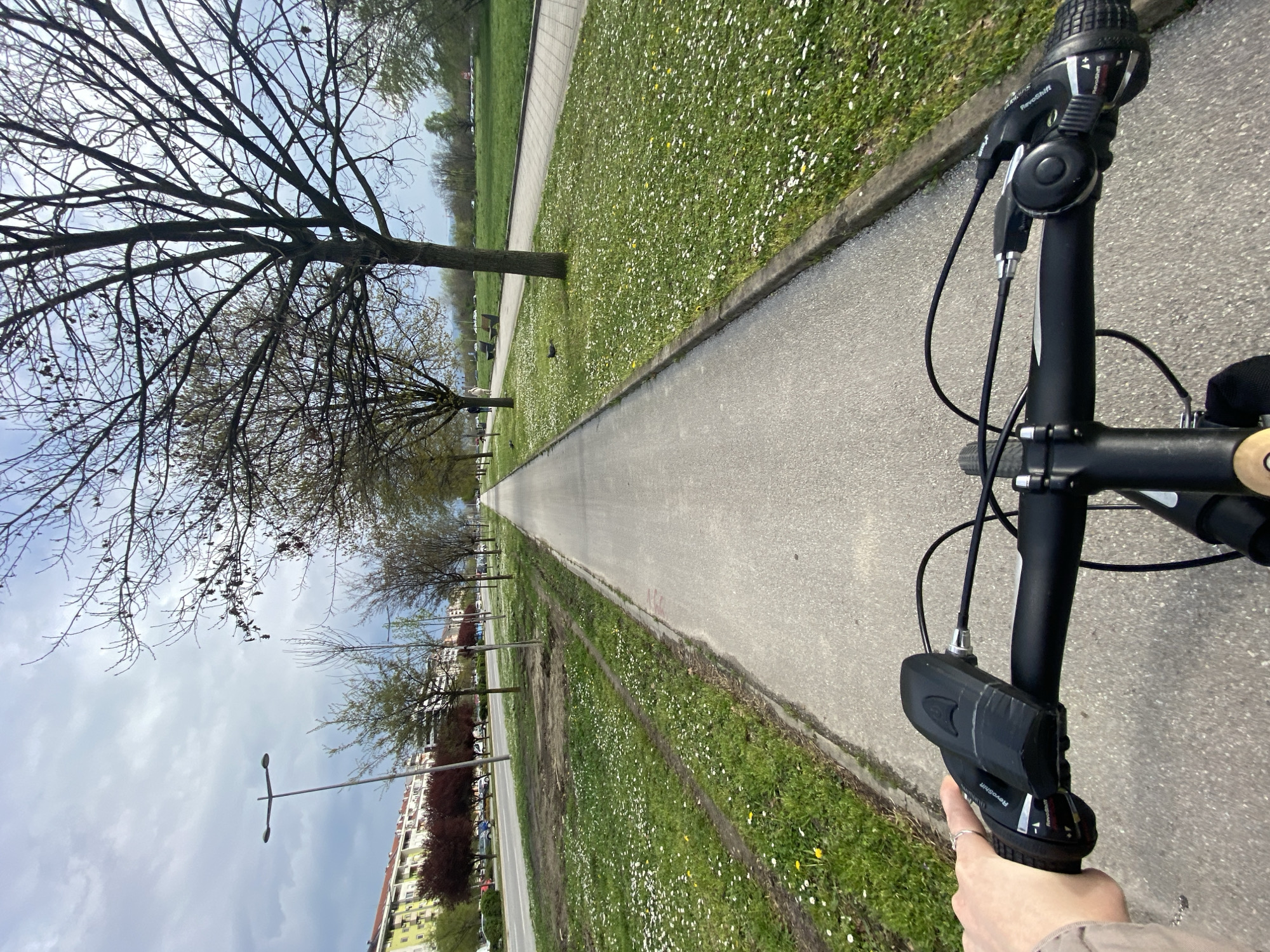 Cyclist rides through blooming park pathway in Novi Sad