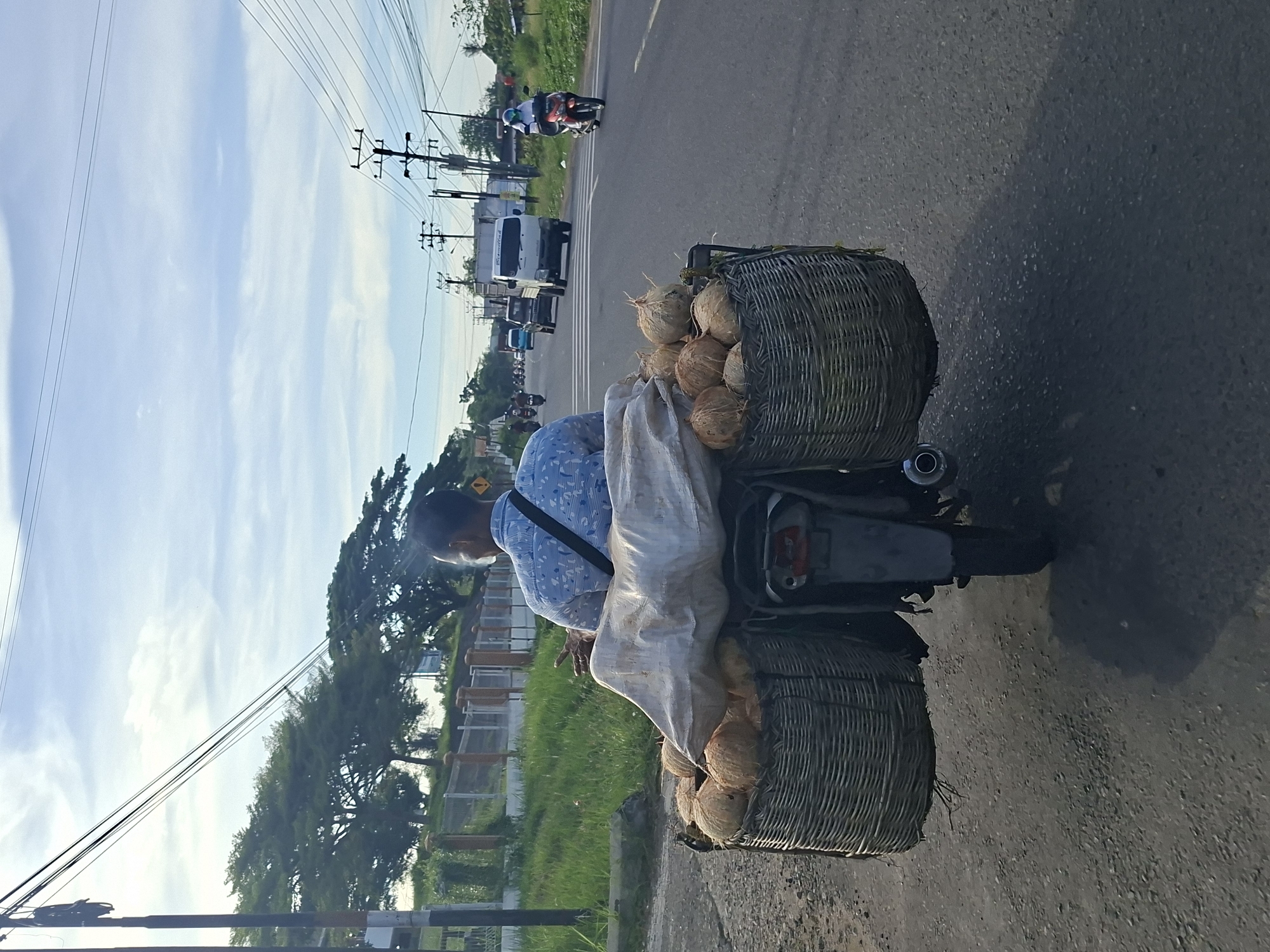 Man transports coconuts by moped in Lhokseumawe, Indonesia