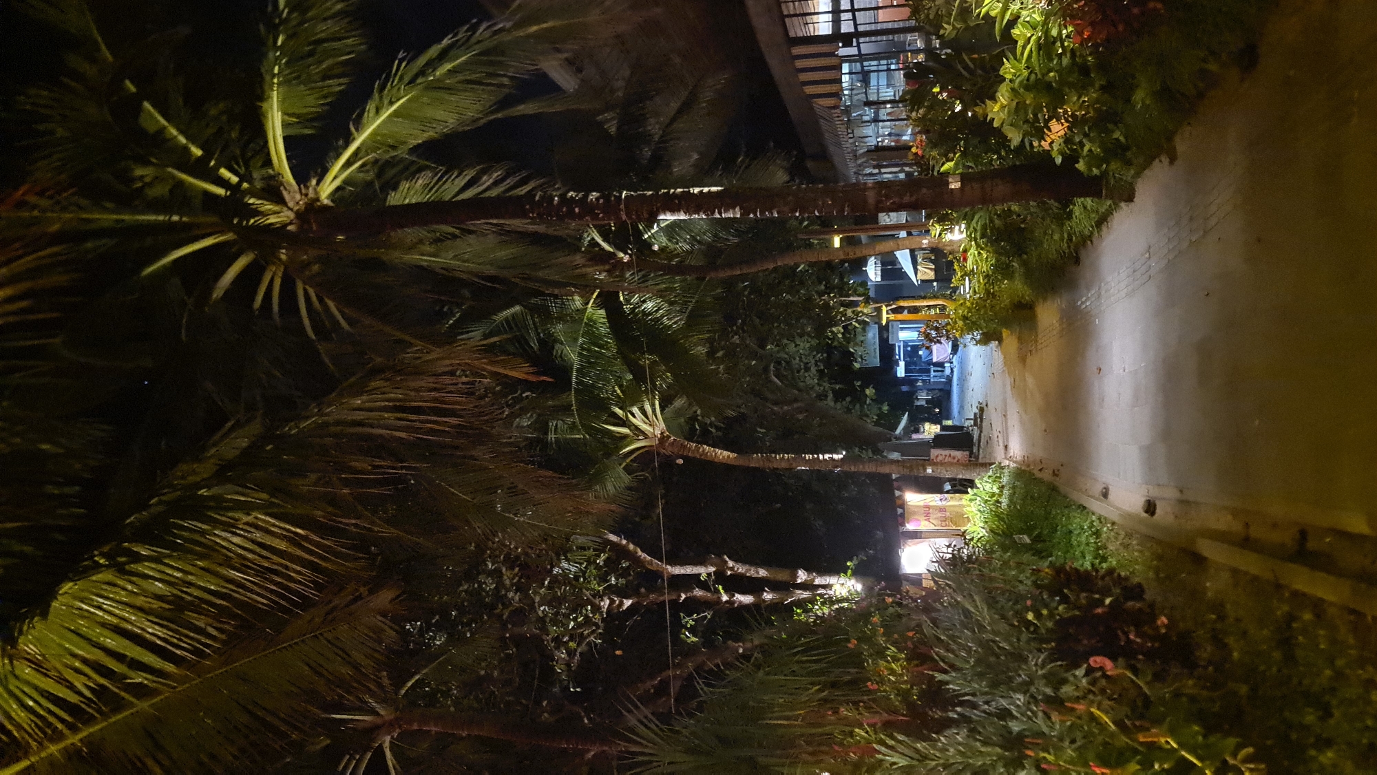 Decorated beachside walkway lit up at night in Denpasar