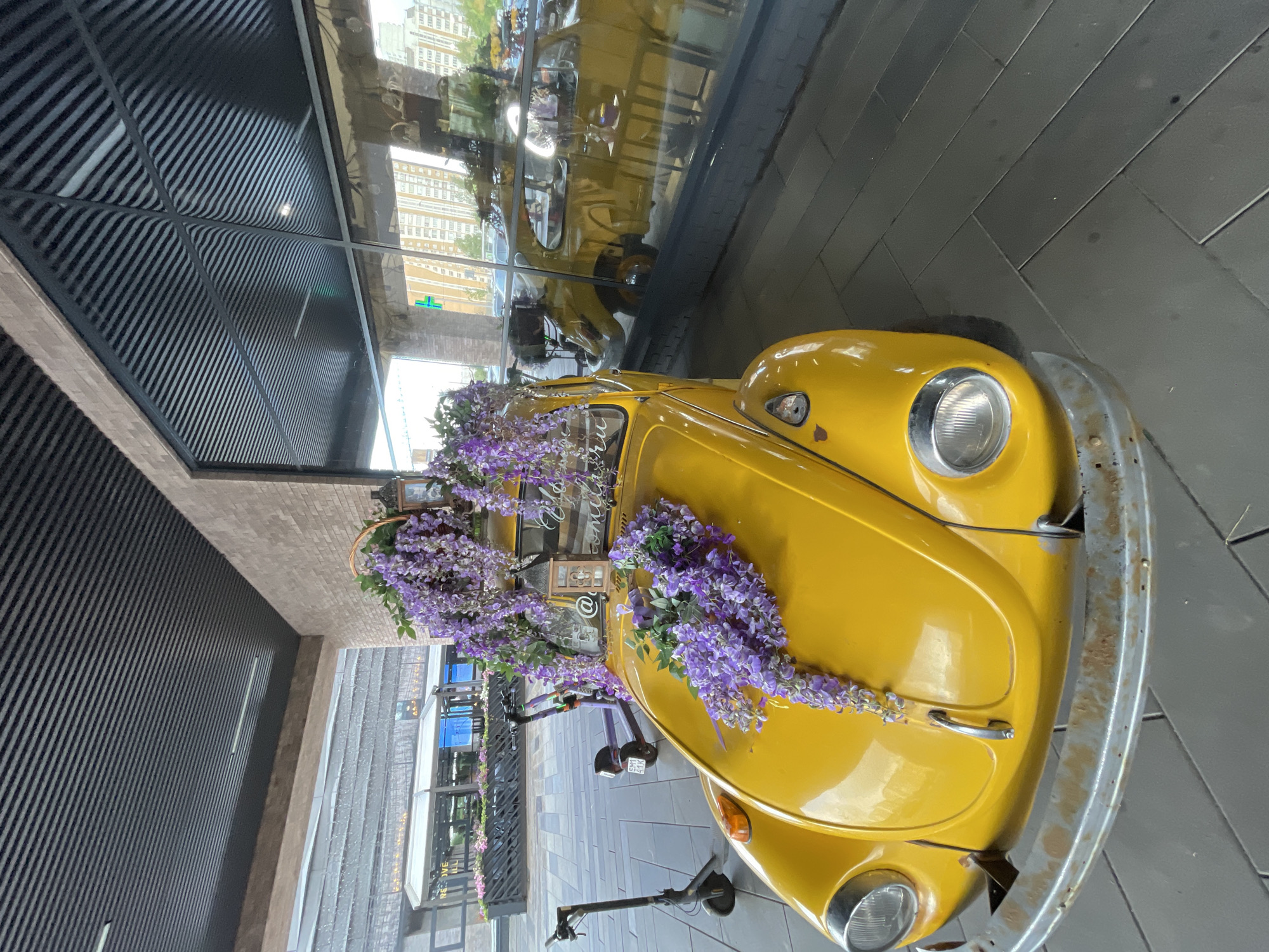 Moscow street life: decorated Beetle, dogs, churches, markets, café cakes