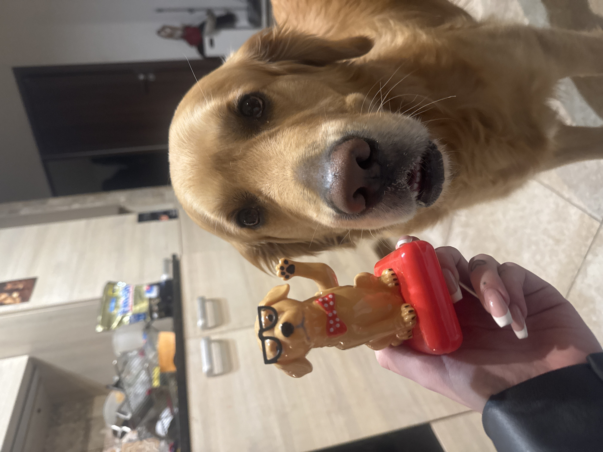Woman hugs golden retriever in Sofia home