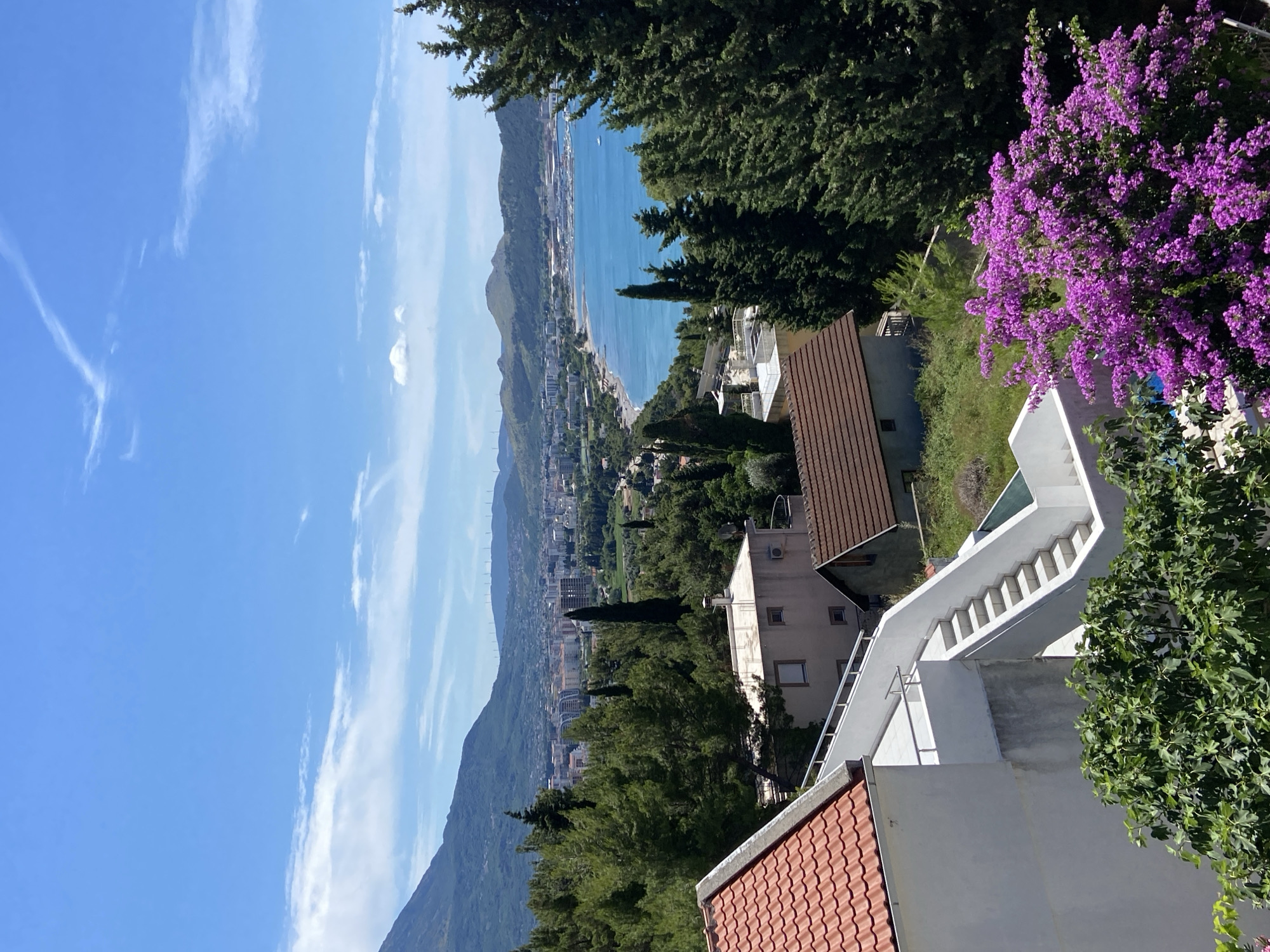 Morning coffee and pets captured in coastal Montenegro town