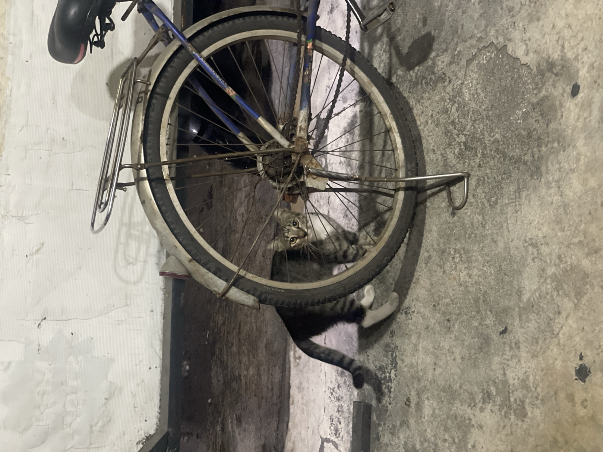 Evening life documented across North Jakarta neighborhoods