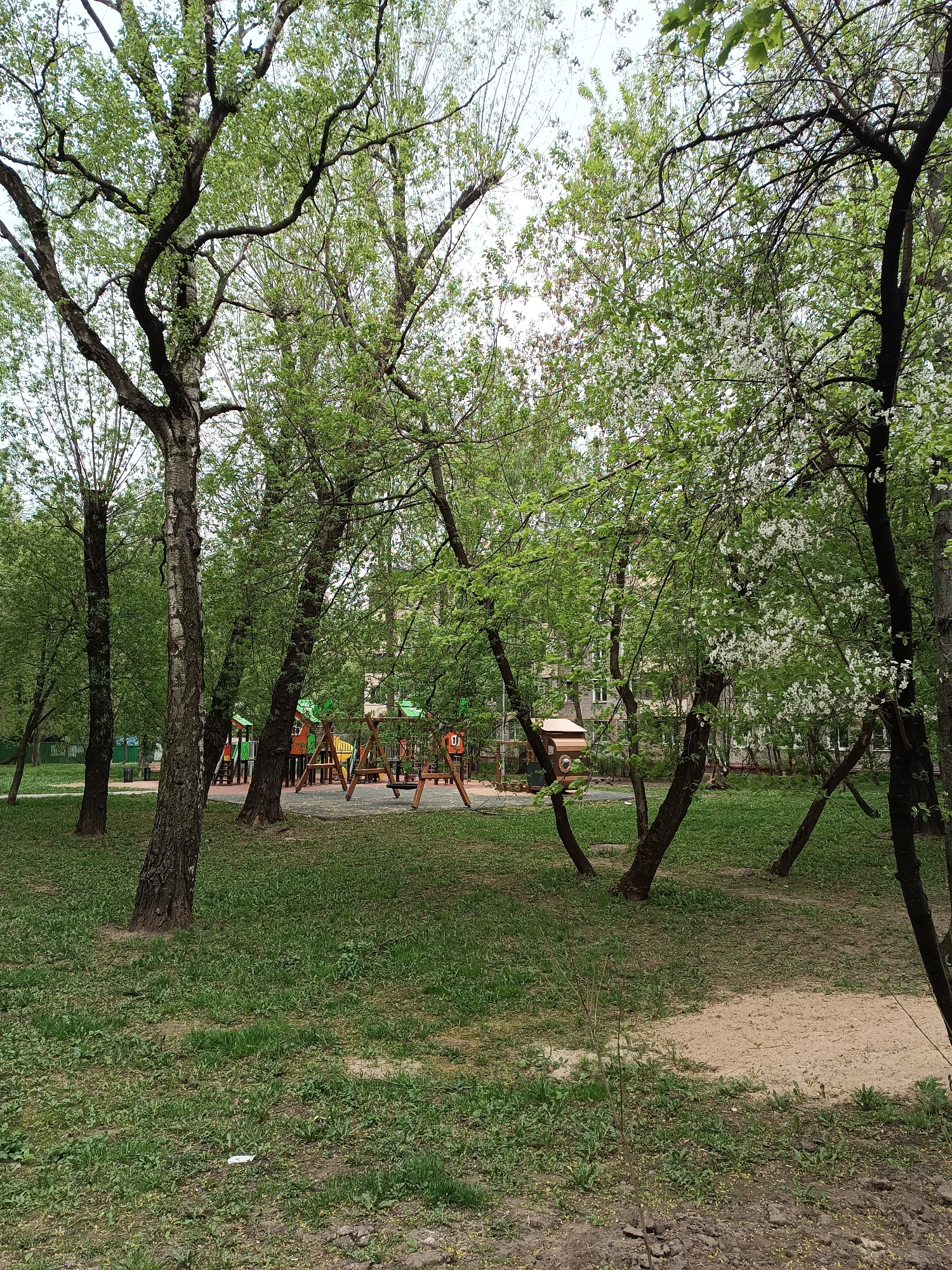 Moscow residential park area documented by witness