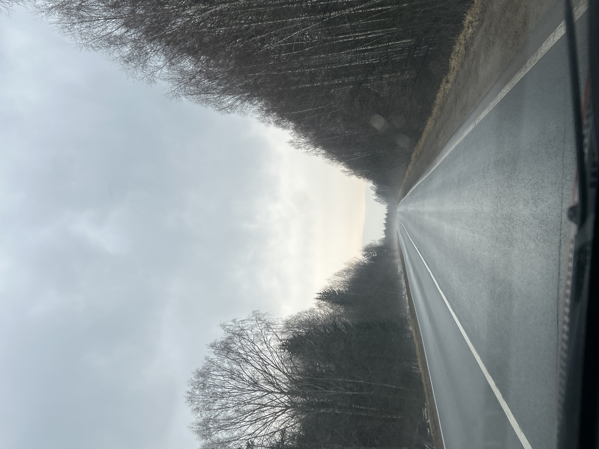 Wet road observed under overcast skies in Belaya Gora