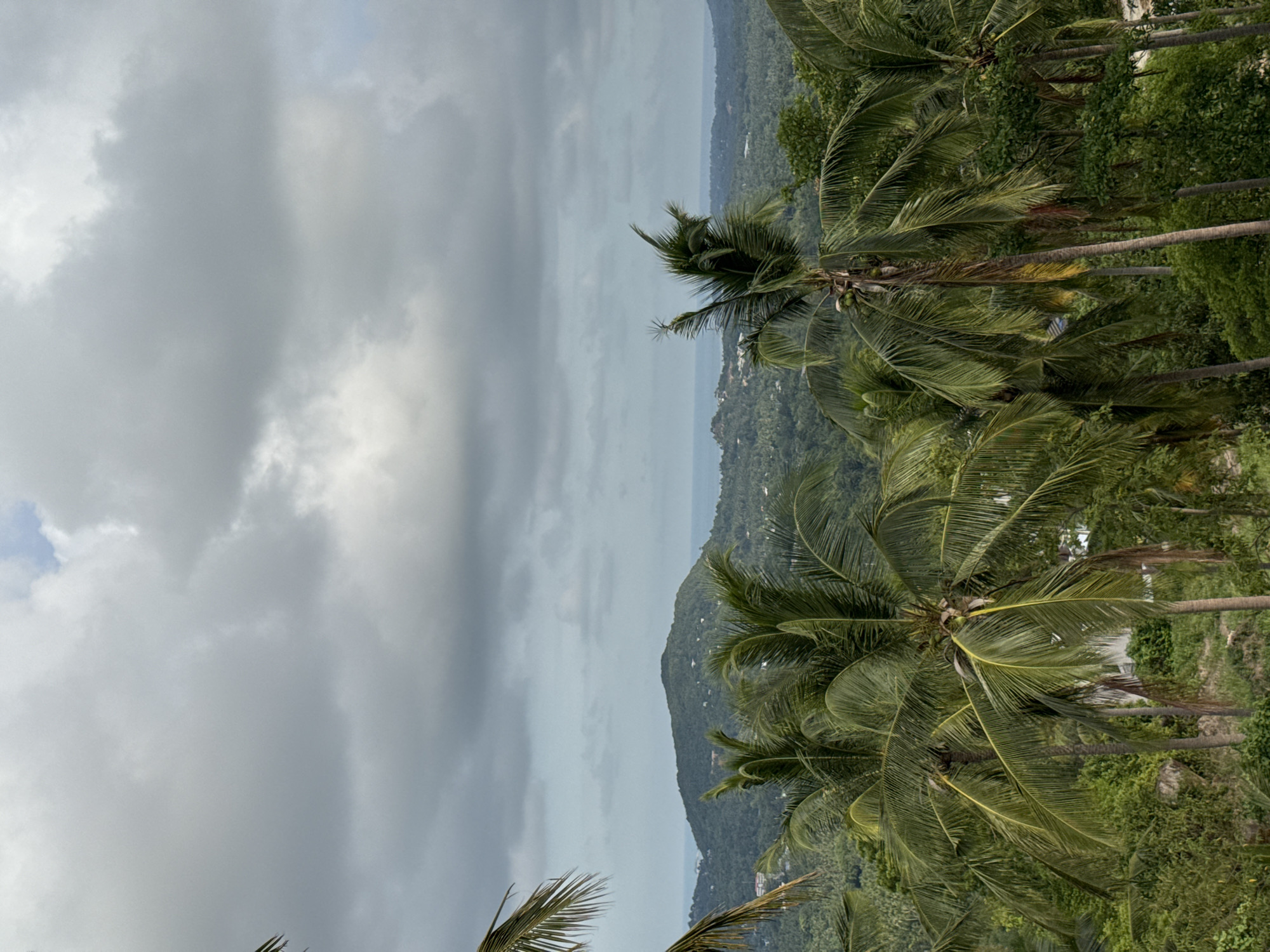 Hilltop panorama over Ban Tai's palms and coastline