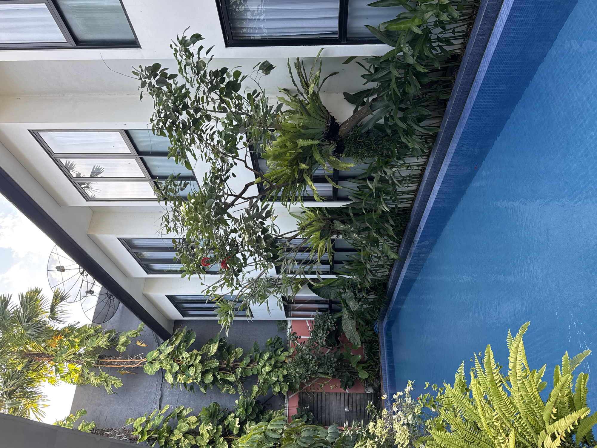 Morning scenes documented across busy North Kuta, Indonesia