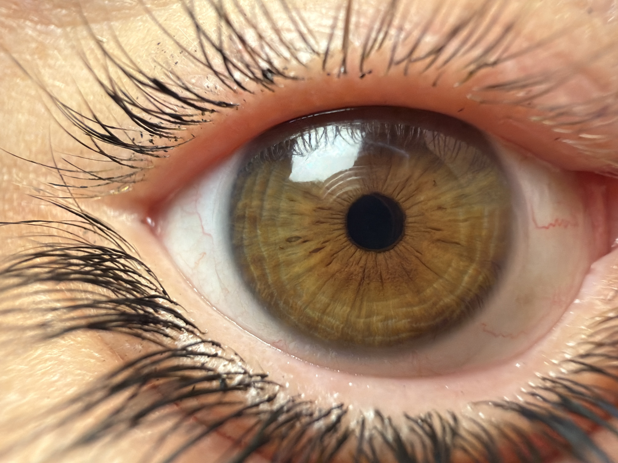 Macro eye photography session documented in North Kuta