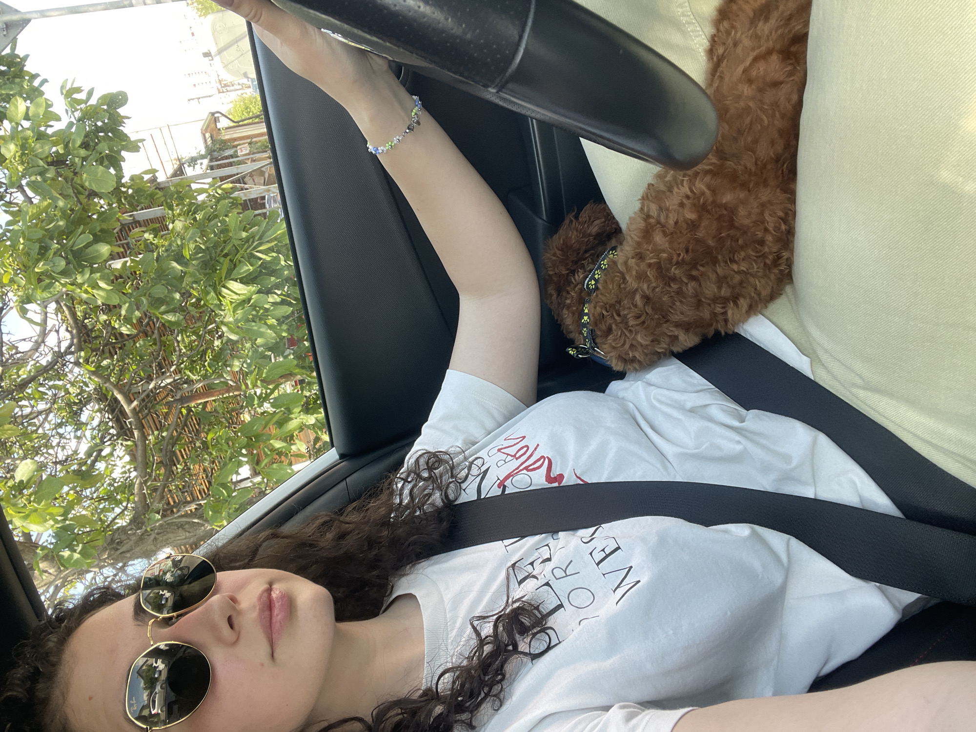 Woman and poodle spotted in car in Sofia