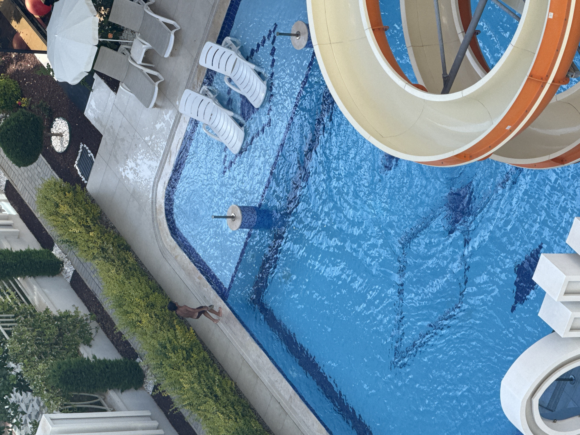 Tourist captures poolside relaxation and cat moments in Alanya