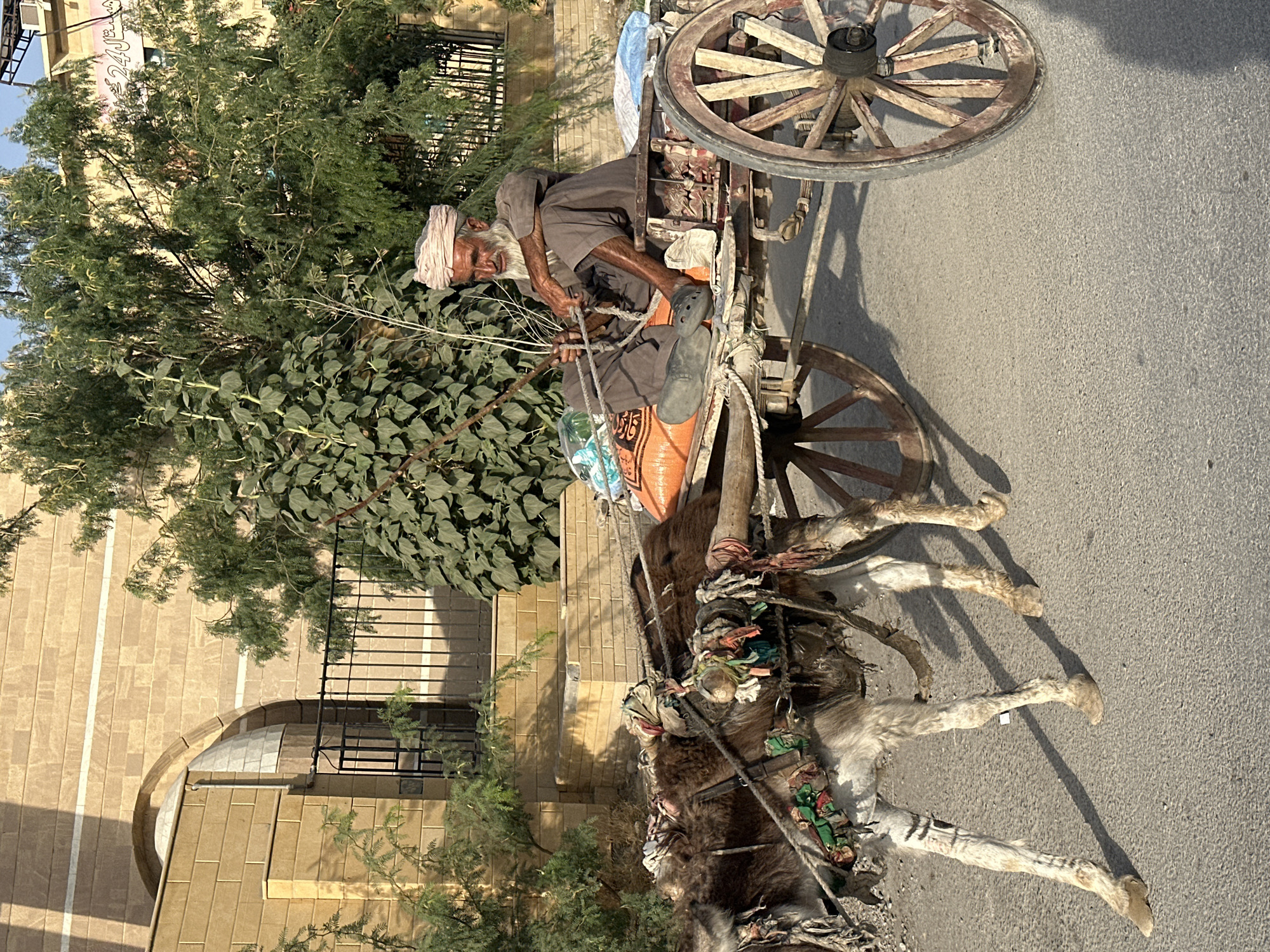 Quetta City Tehsil, Pakistan
