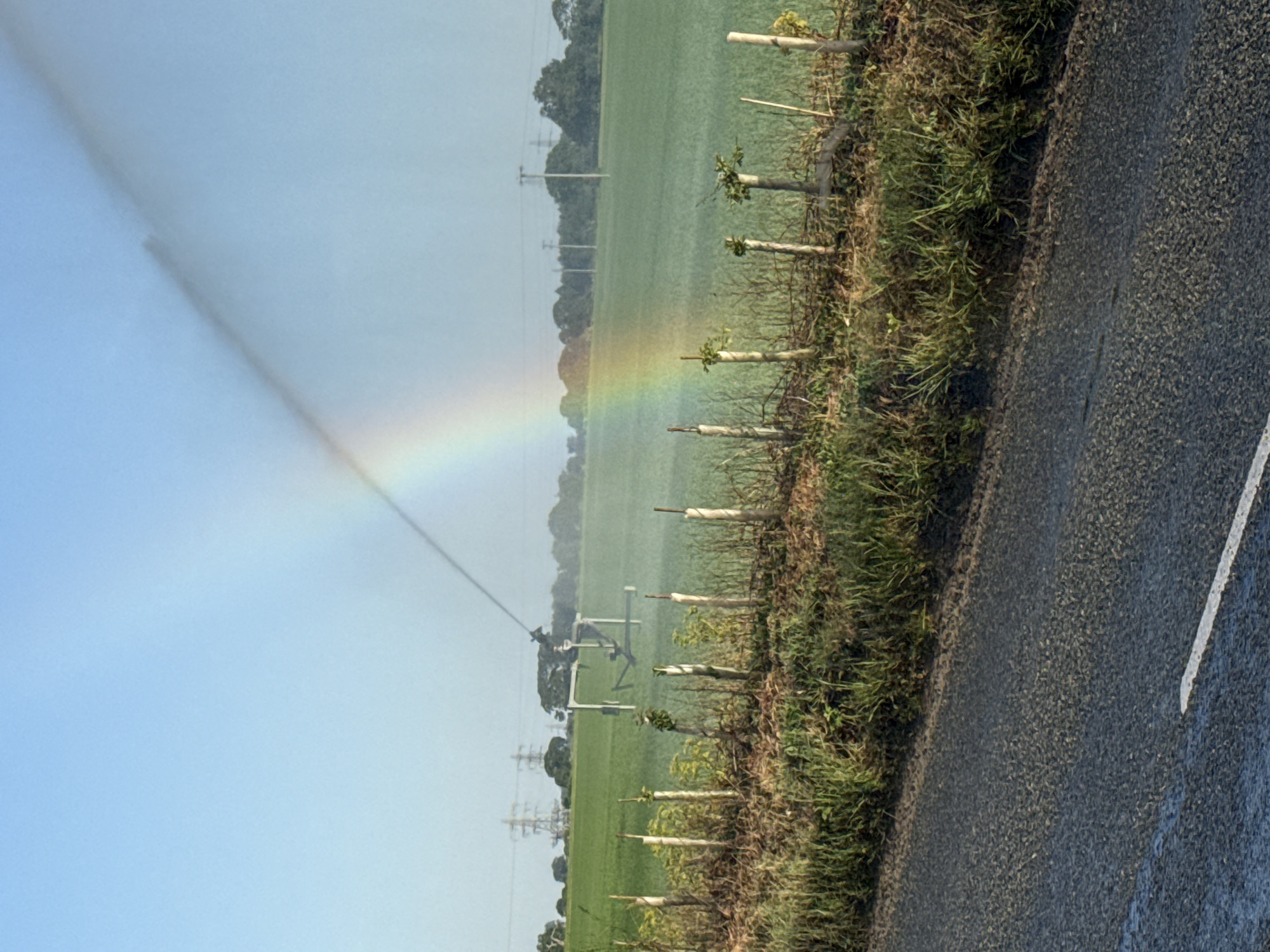 Irrigation sprinklers create rainbows over Great Yarmouth farmland