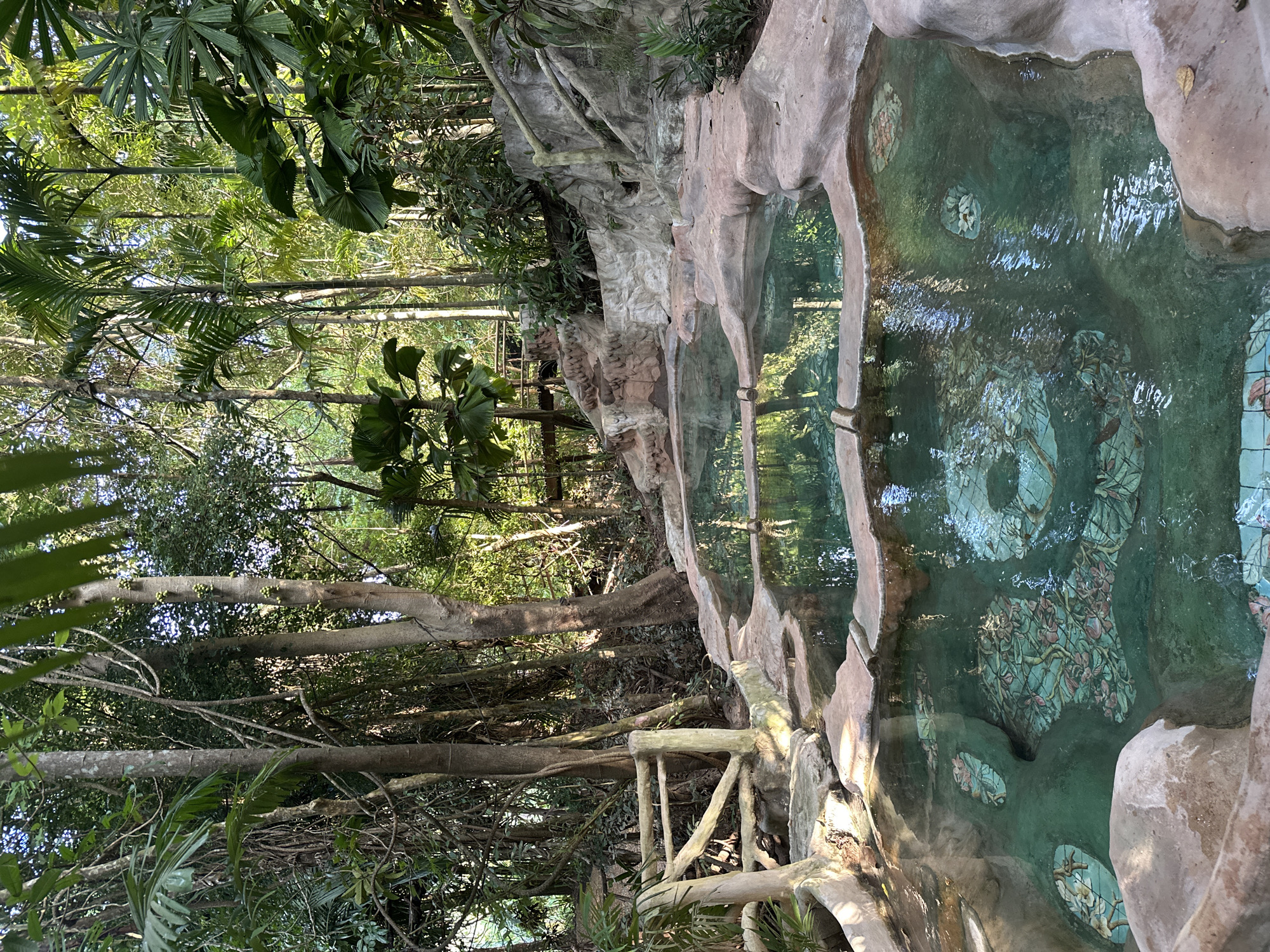 Tiered hot spring pools in Khlong Thom Nuea's tropical forest