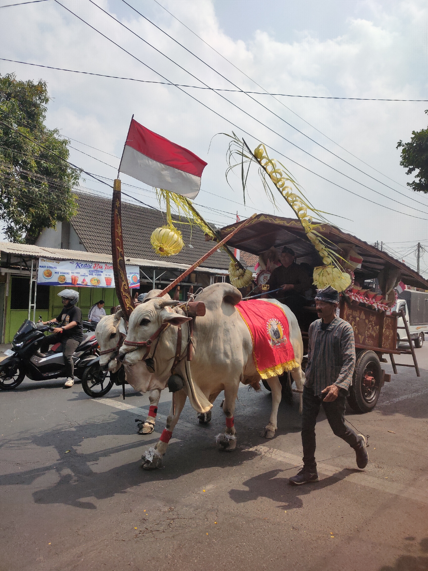 Decorated ox carts parade through Ngasem in traditional procession