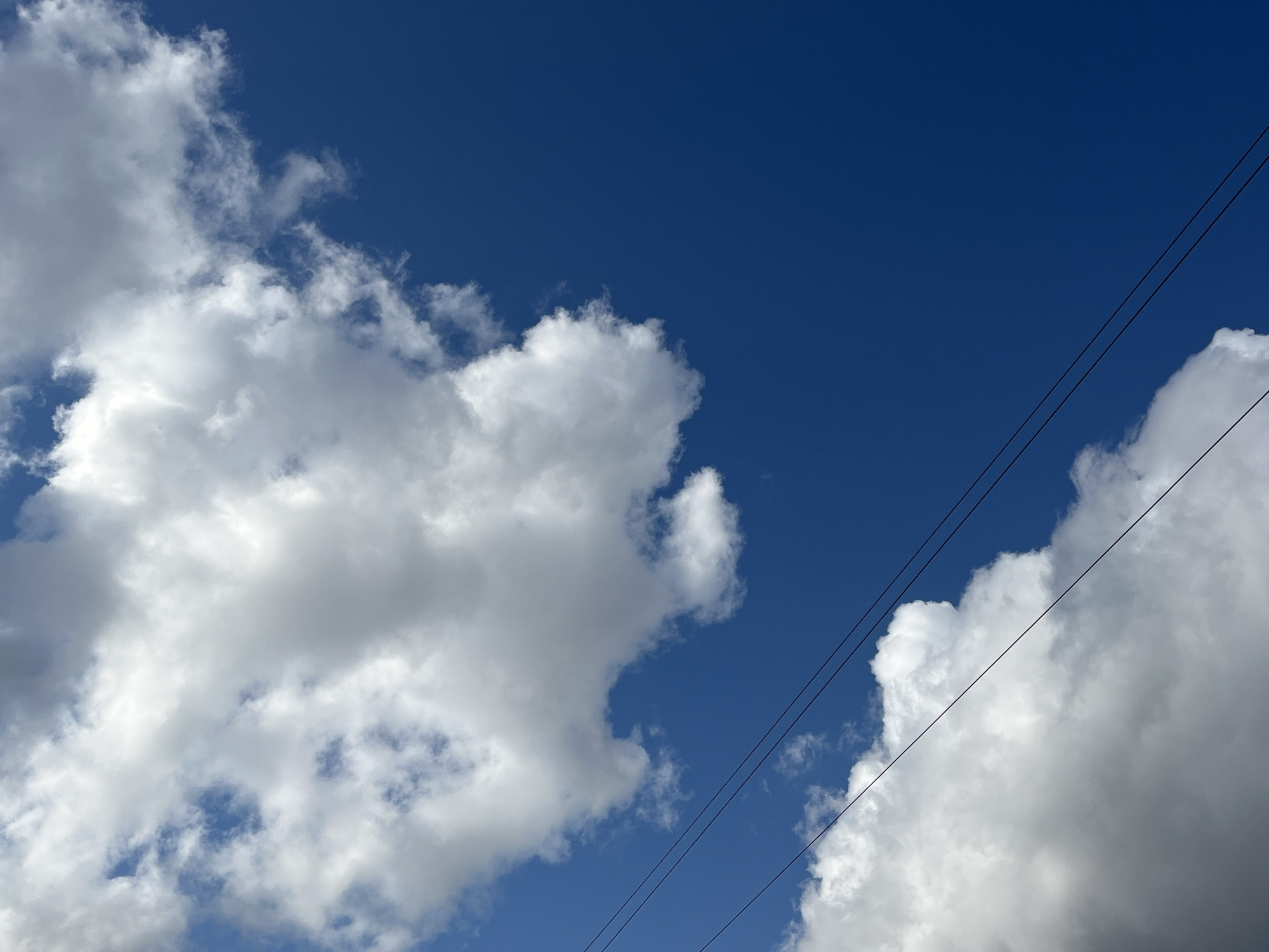 Clear skies and power lines observed in Pavlovka, Russia