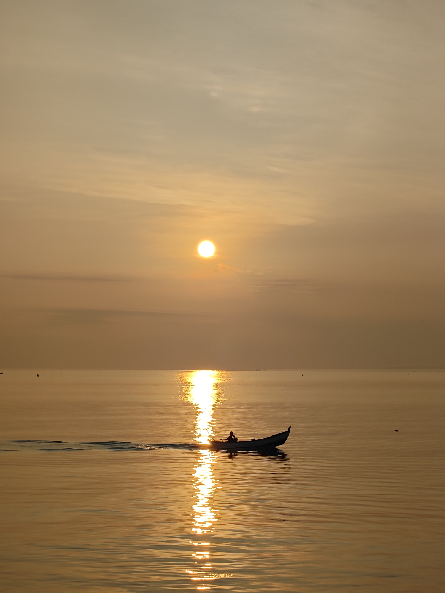 Cat watches sunset on Indonesian coastline breakwater