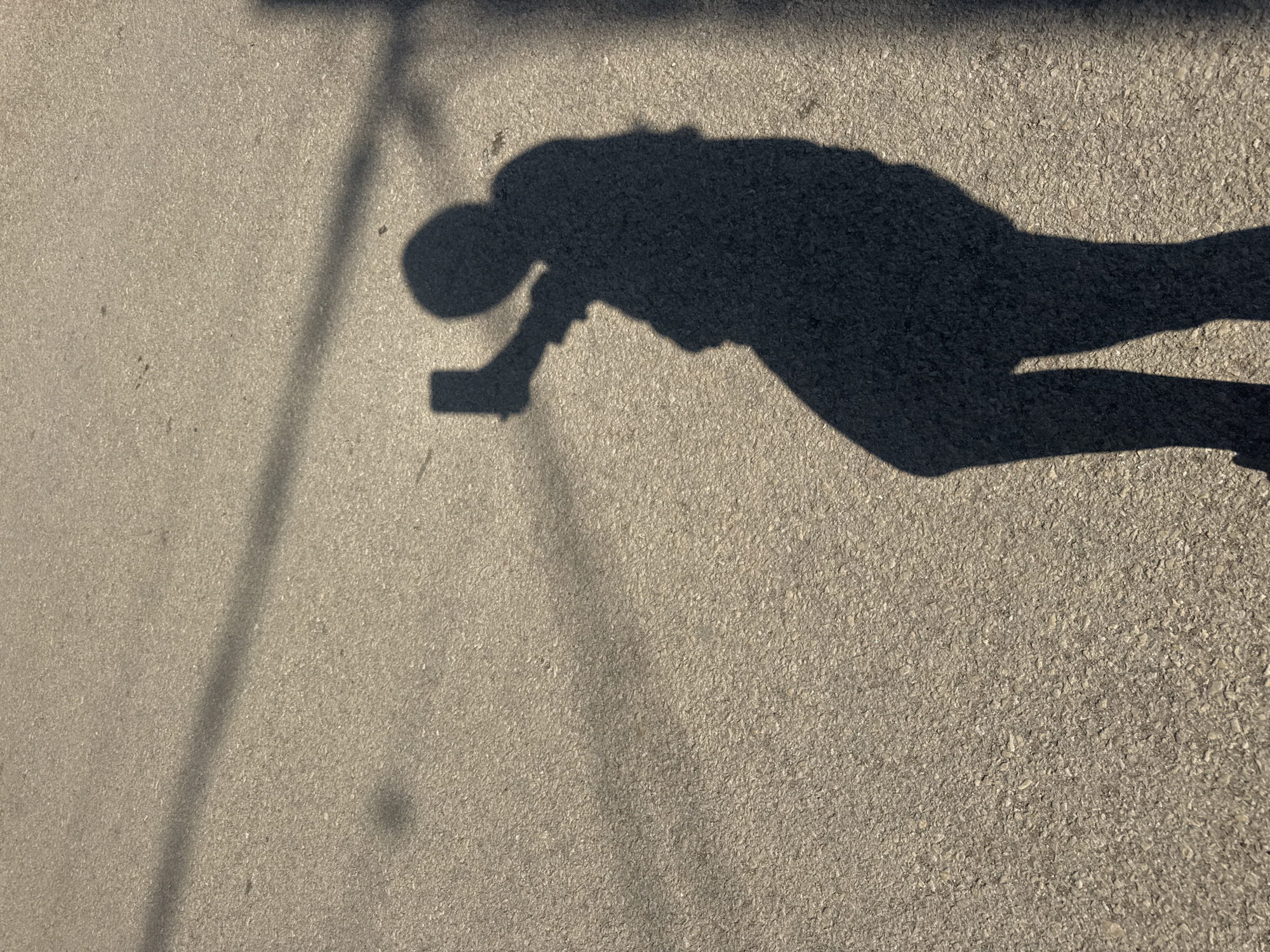 Person with phone observed on Lehchevo street