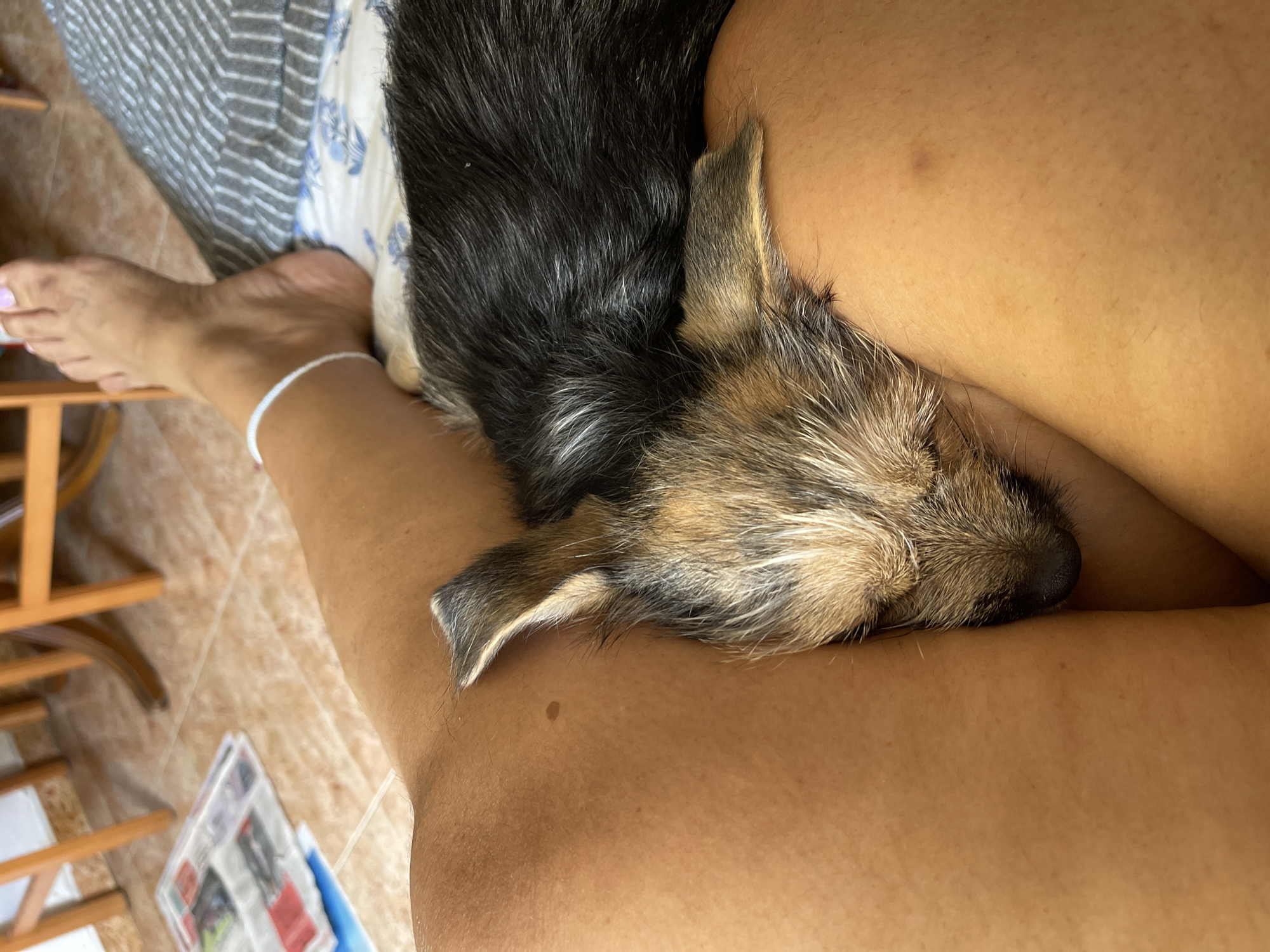 Lazy morning at home with pets, dancing, and couch energy