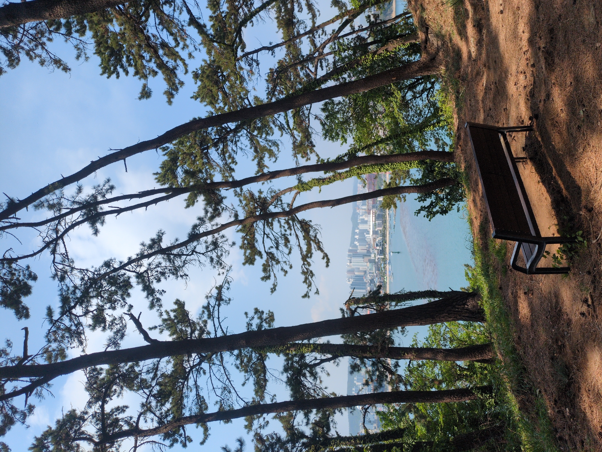 Early morning coastal overlook scene documented in Ulsan